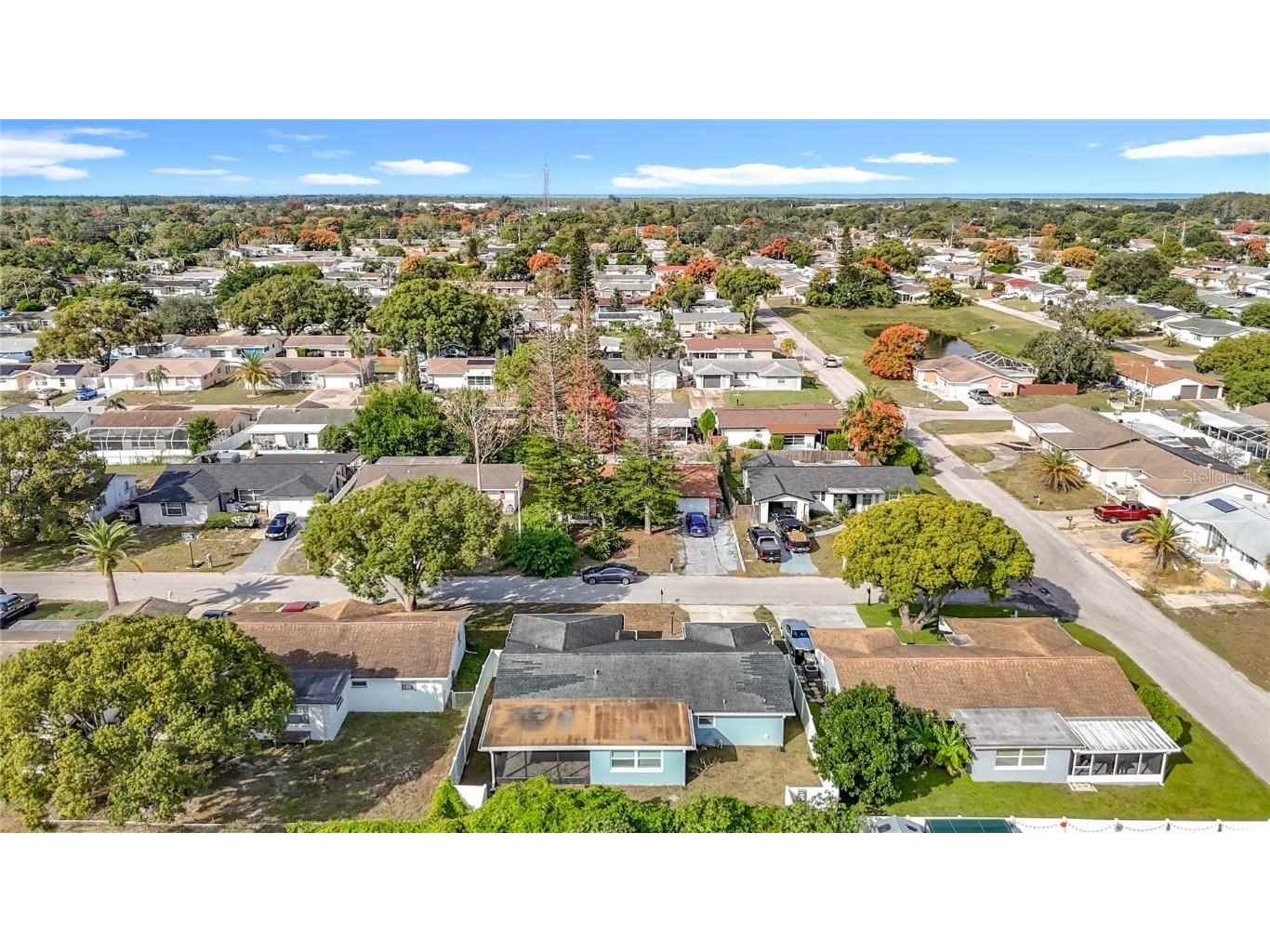 11234 Yewtree Avenue Port Richey FL 34668 C7516950 image40