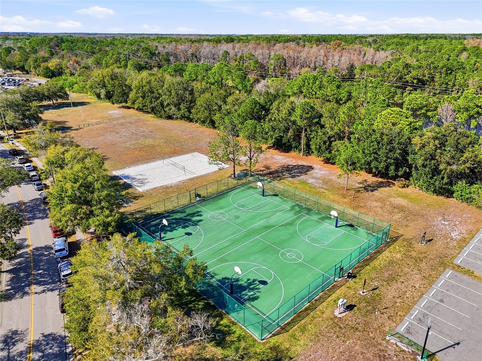 11235 Clayridge Drive Tampa FL 33635 TB8467765 image50