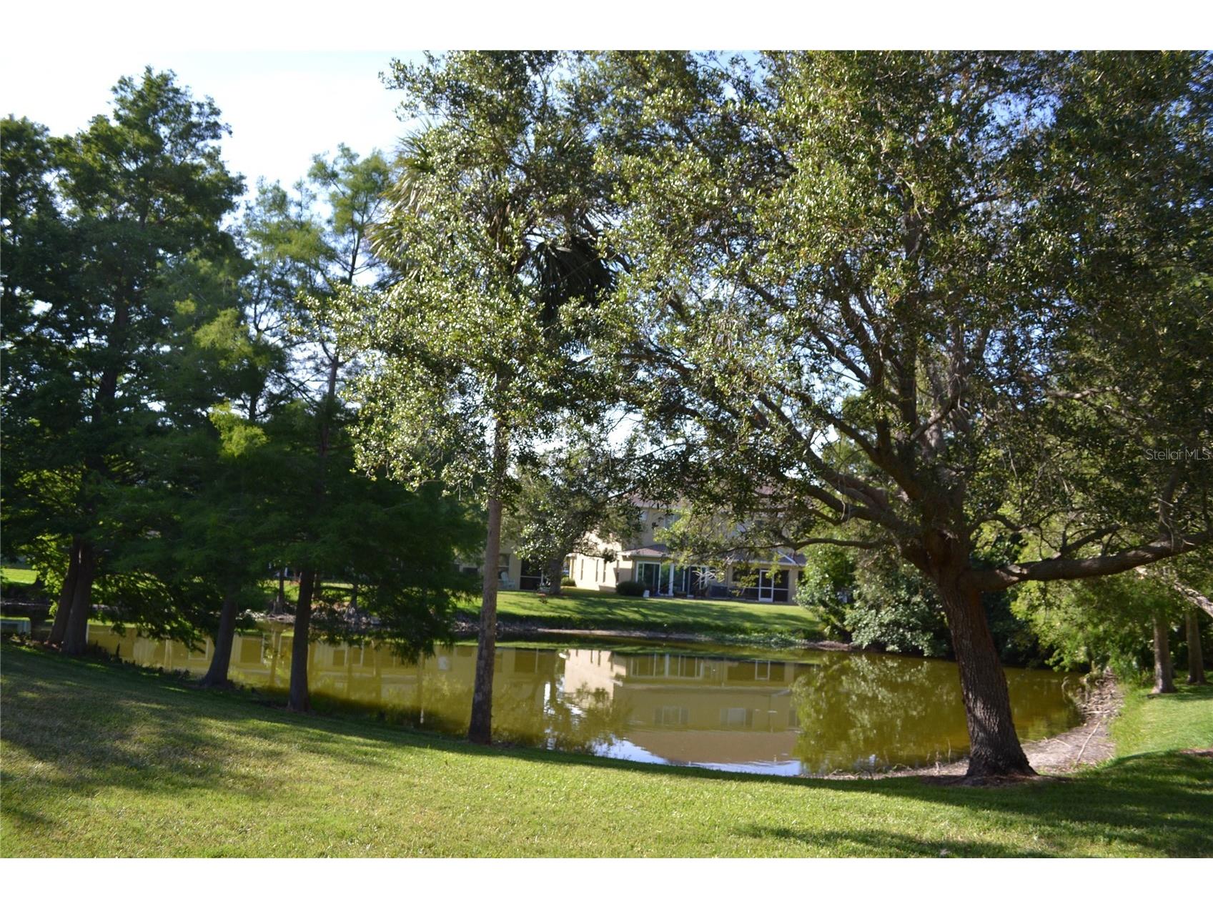 11235 Kapok Grand Circle Madeira Beach FL 33708 TB8506668 image17