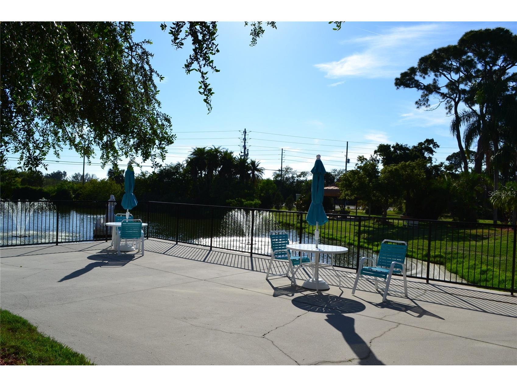 11235 Kapok Grand Circle Madeira Beach FL 33708 TB8506668 image26