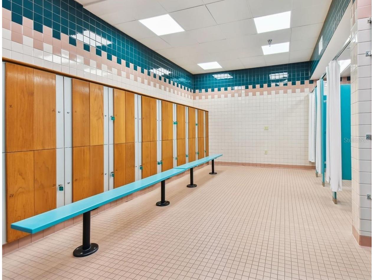 11235 Kapok Grand Circle Madeira Beach FL 33708 TB8506668 image30
