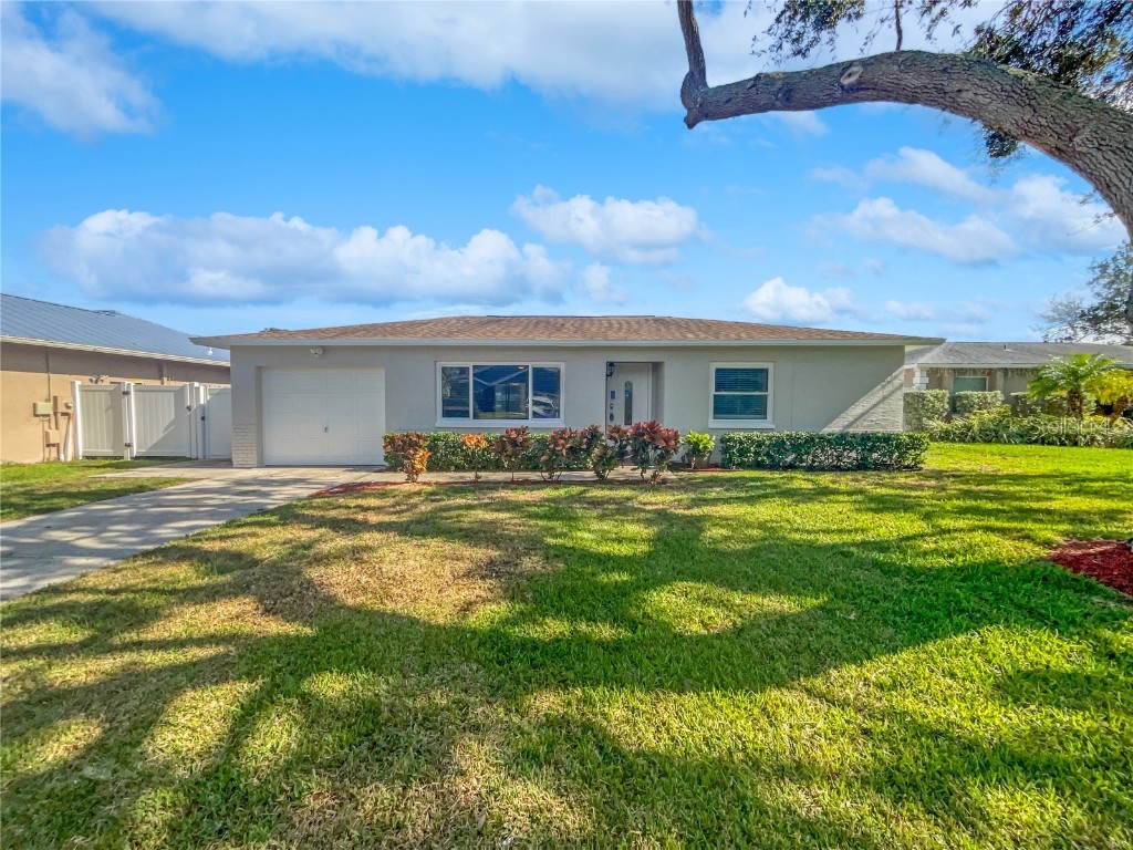 11235 Oakhaven Drive Pinellas Park FL 33782 O6162484 image1