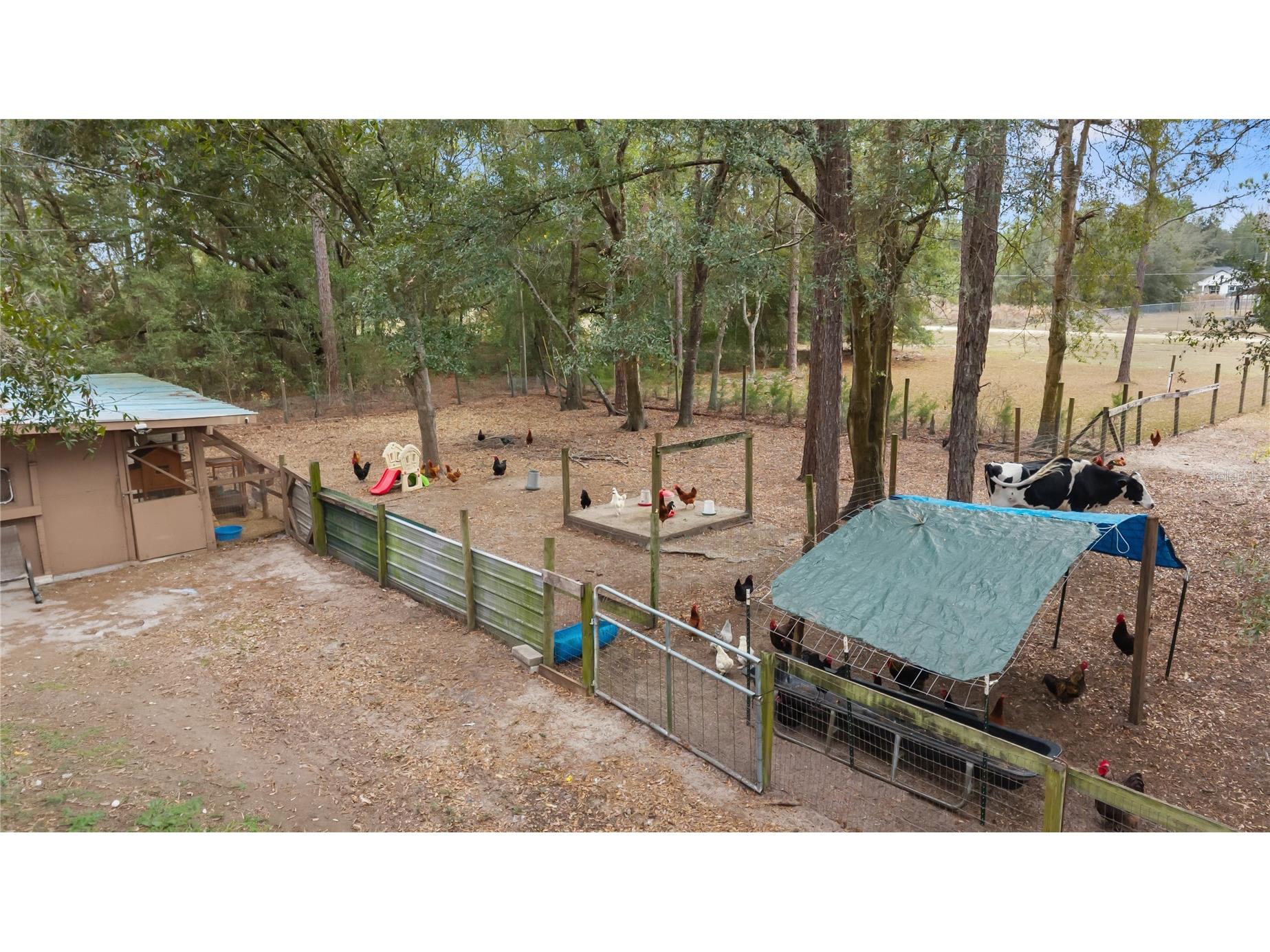 11235 SW 131st Terrace Dunnellon FL 34432 GC536717 image27