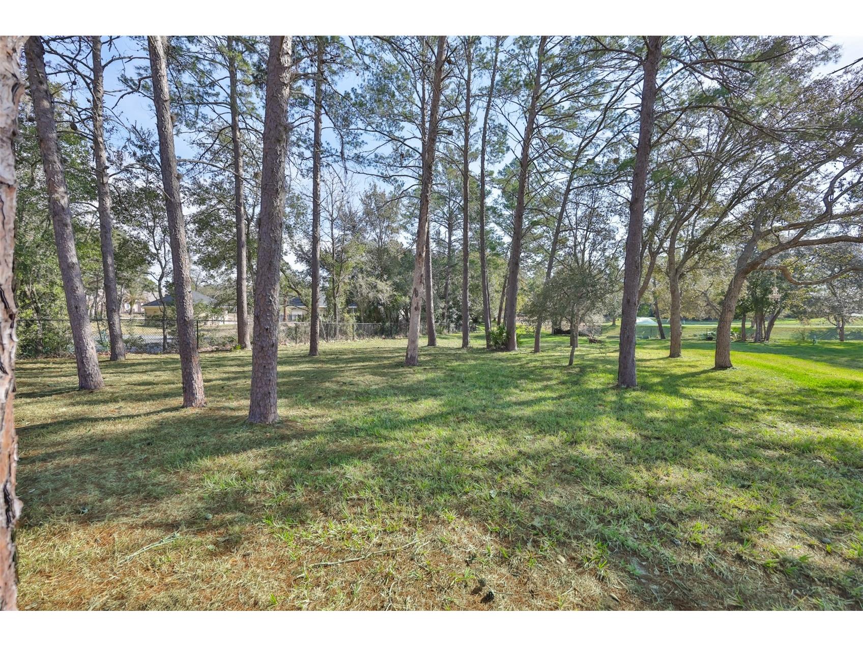 11235 Warm Wind Way Weeki Wachee FL 34613 TB8481889 image4