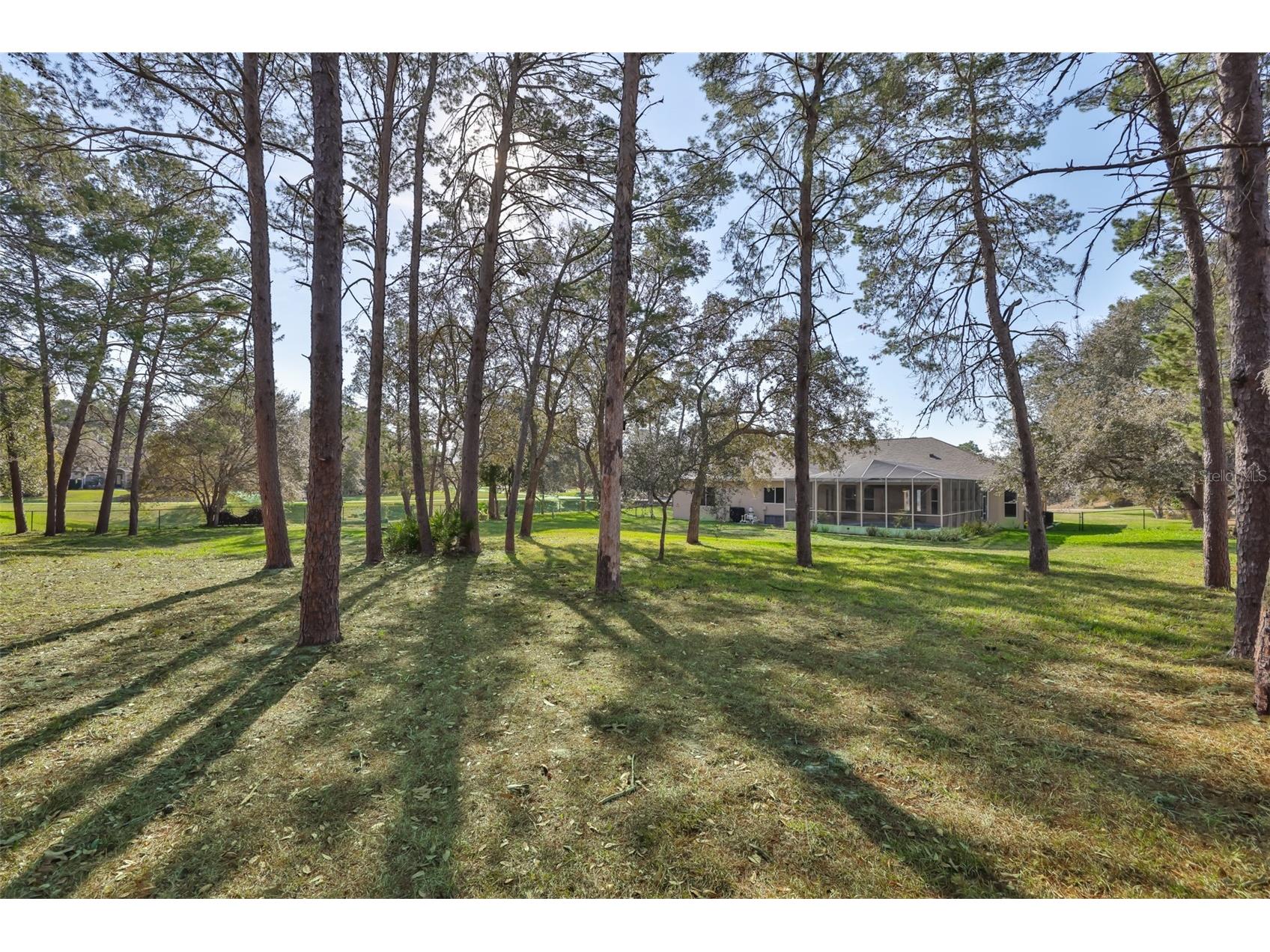 11235 Warm Wind Way Weeki Wachee FL 34613 TB8481889 image71