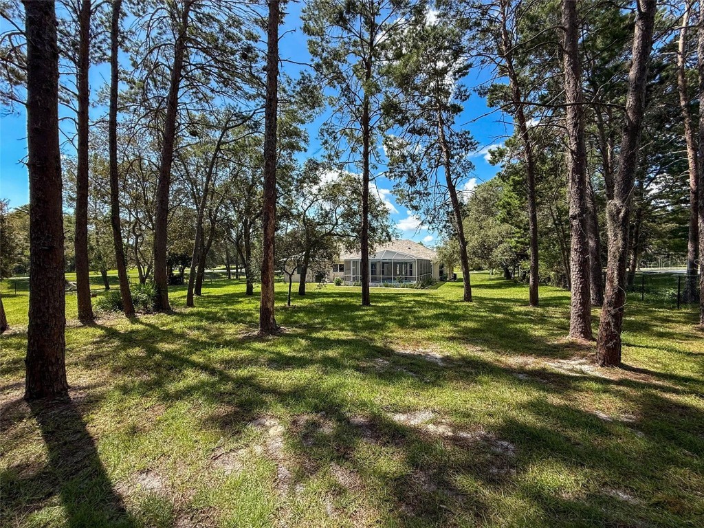 11235 Warm Wind Way Weeki Wachee FL 34614 W7877871 image71