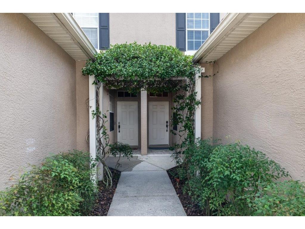 11235 Windsor Place Circle Tampa FL 33626 T3497442 image1