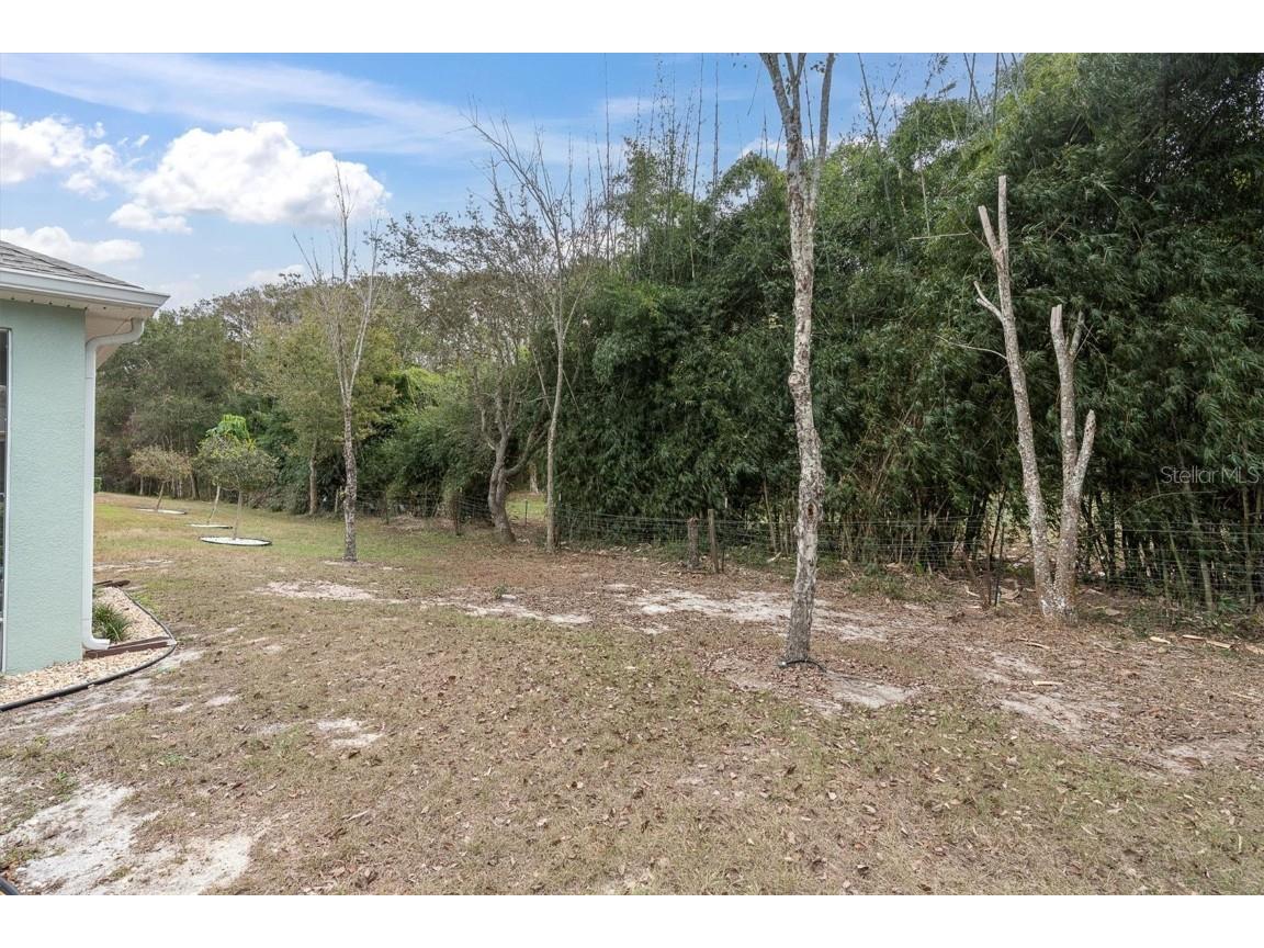 11236 Merganser Way New Port Richey FL 34654 TB8451584 image23