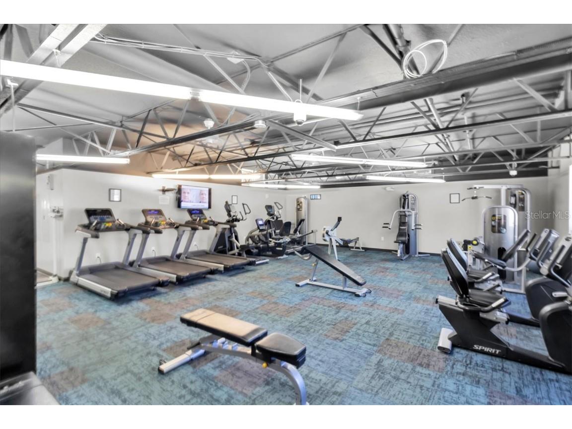 11236 Merganser Way New Port Richey FL 34654 TB8451584 image40