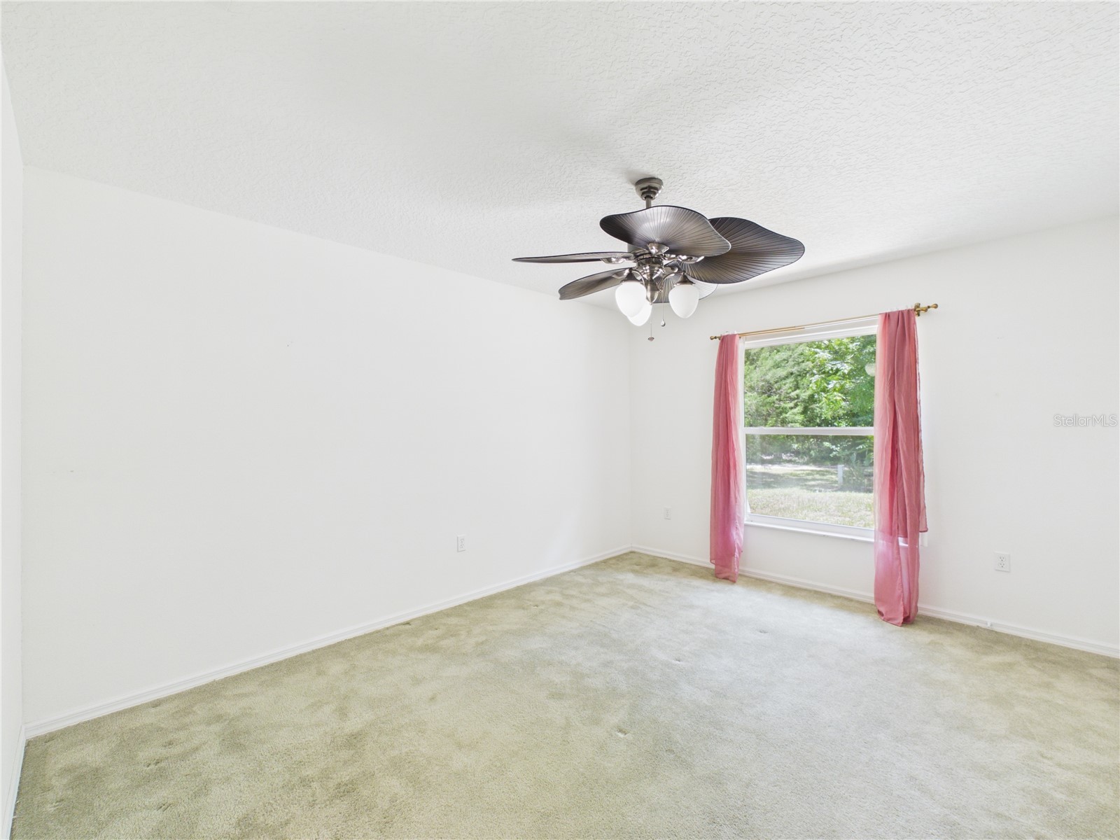 11236 N Rain Point Inglis FL 34449 - WITHLACOOCHEE RIVER OM727379 image25