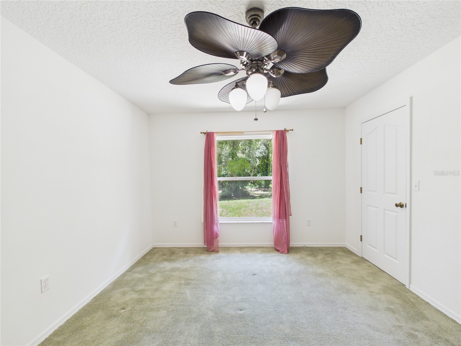 11236 N Rain Point Inglis FL 34449 - WITHLACOOCHEE RIVER OM727379 image27