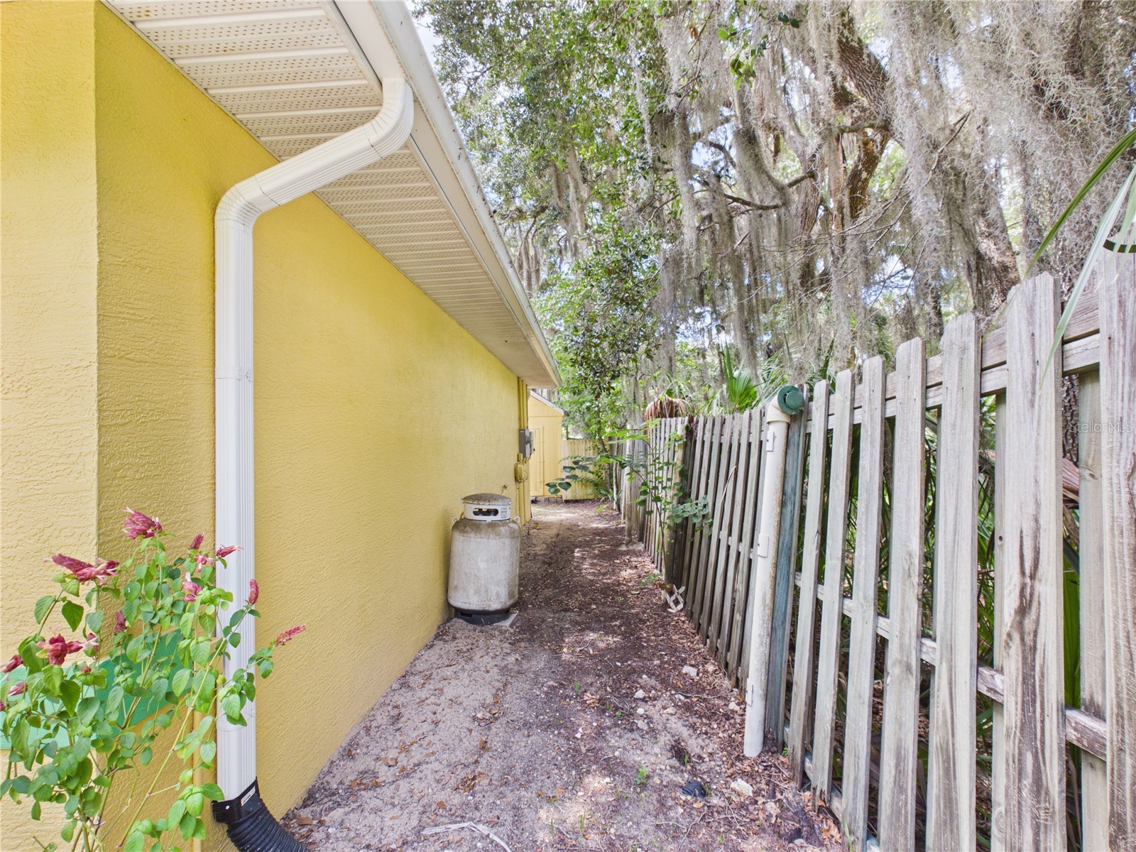 11236 N Rain Point Inglis FL 34449 - WITHLACOOCHEE RIVER OM727379 image44
