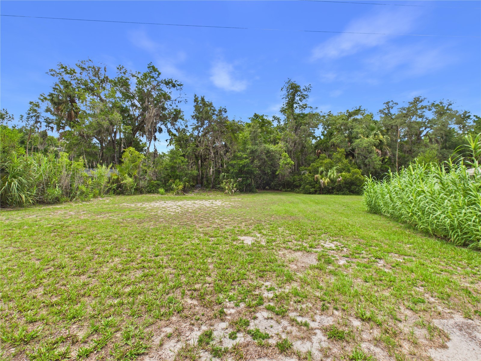 11236 N Rain Point Inglis FL 34449 - WITHLACOOCHEE RIVER OM727379 image46