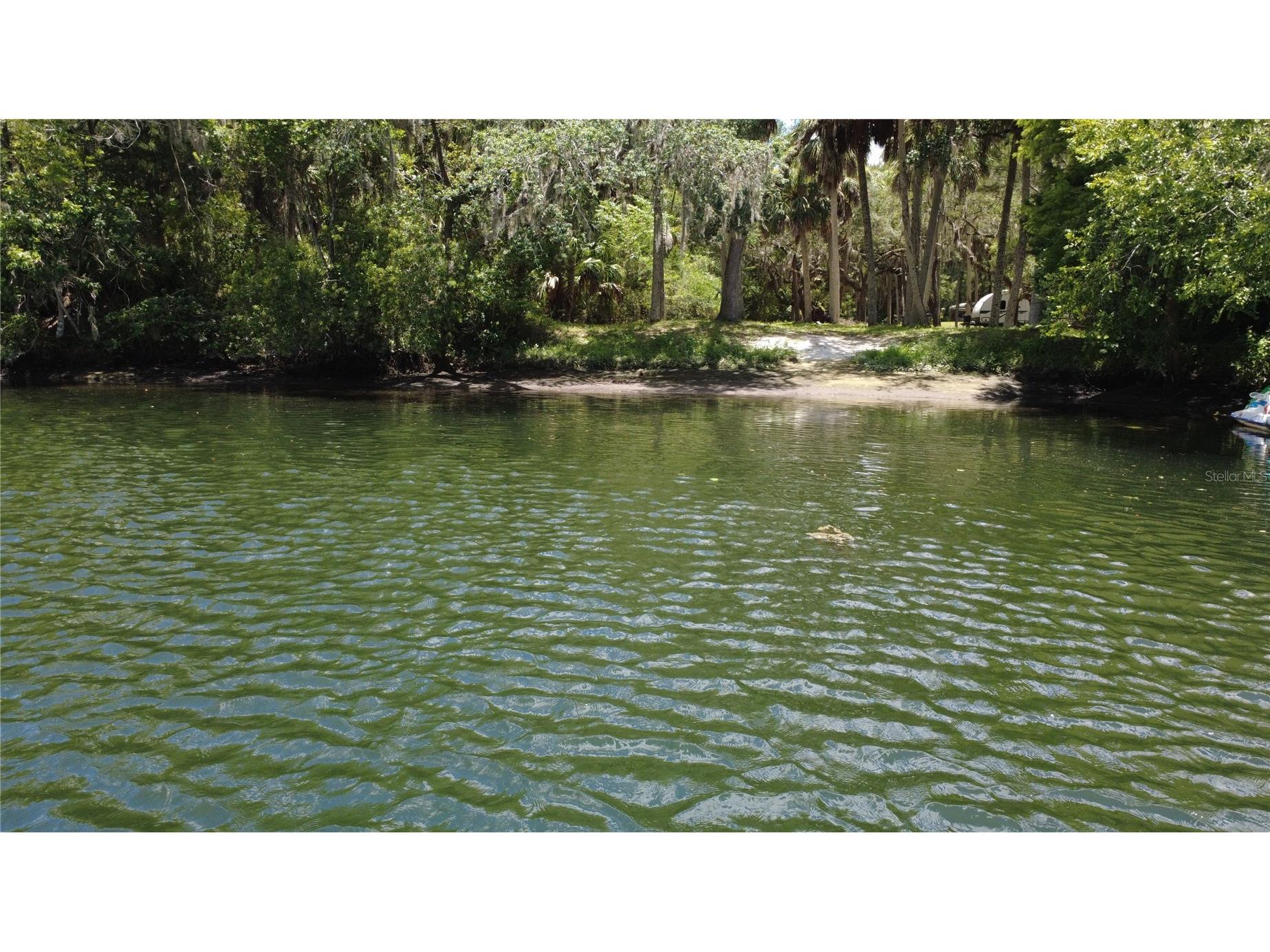 11236 N Rain Point Inglis FL 34449 - WITHLACOOCHEE RIVER OM727379 image59