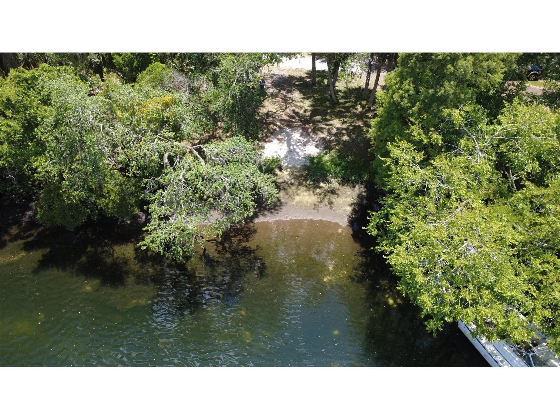11236 N Rain Point Inglis FL 34449 - WITHLACOOCHEE RIVER OM727379 image60