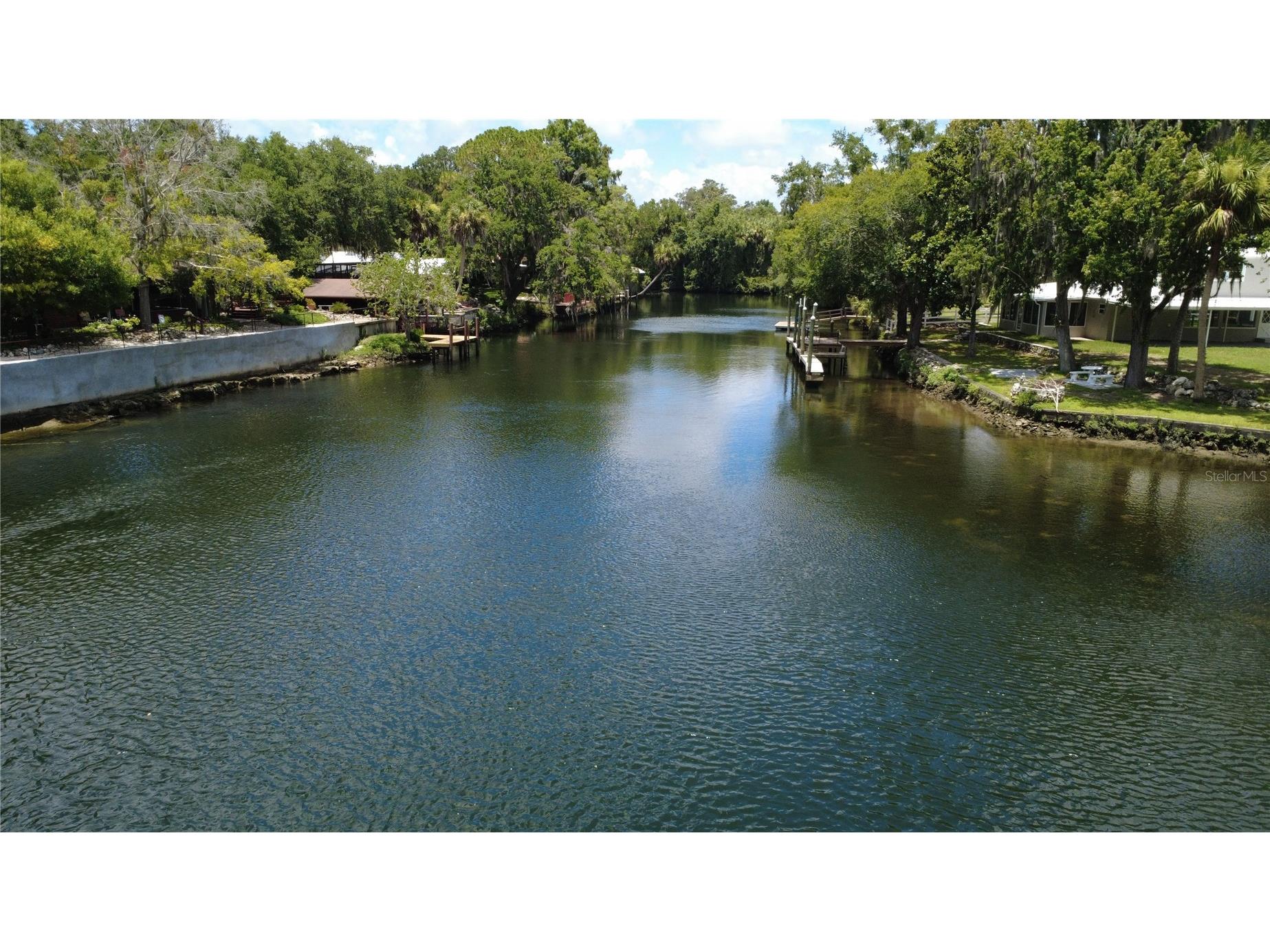 11236 N Rain Point Inglis FL 34449 - WITHLACOOCHEE RIVER OM727379 image61