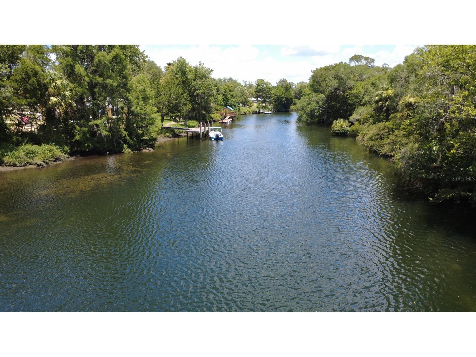 11236 N Rain Point Inglis FL 34449 - WITHLACOOCHEE RIVER OM727379 image62