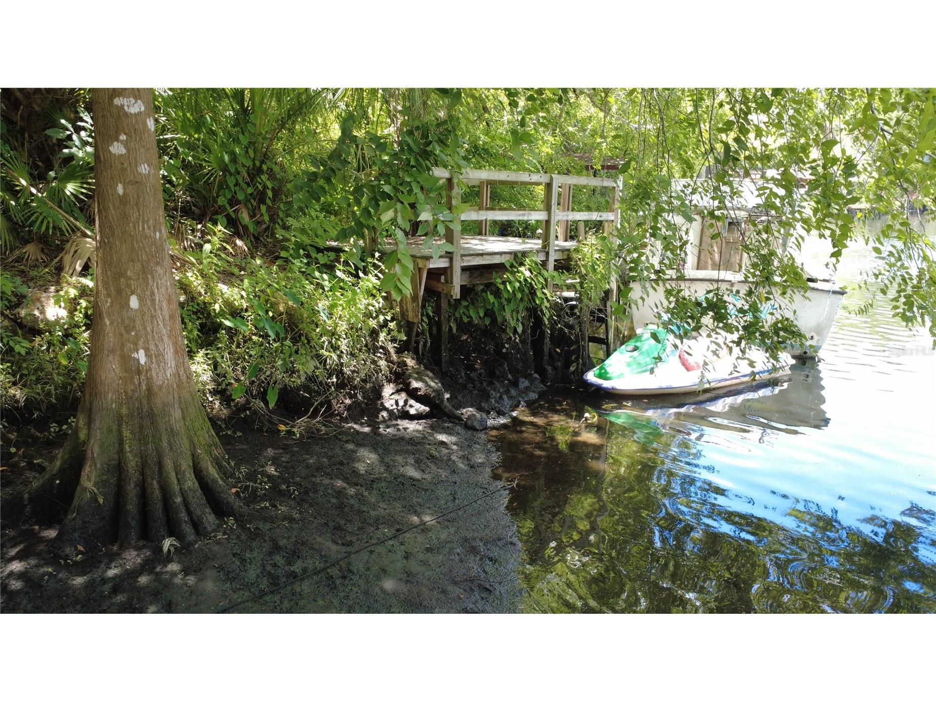 11236 N Rain Point Inglis FL 34449 - WITHLACOOCHEE RIVER OM727379 image63