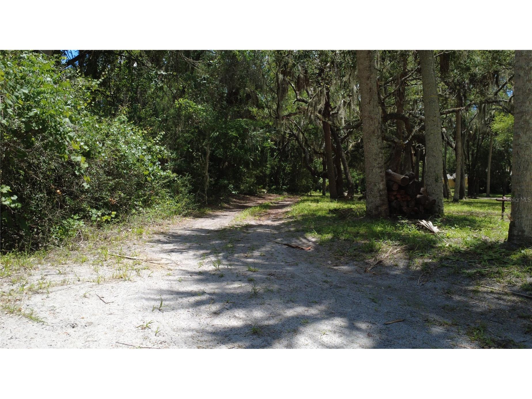11236 N Rain Point Inglis FL 34449 - WITHLACOOCHEE RIVER OM727379 image65
