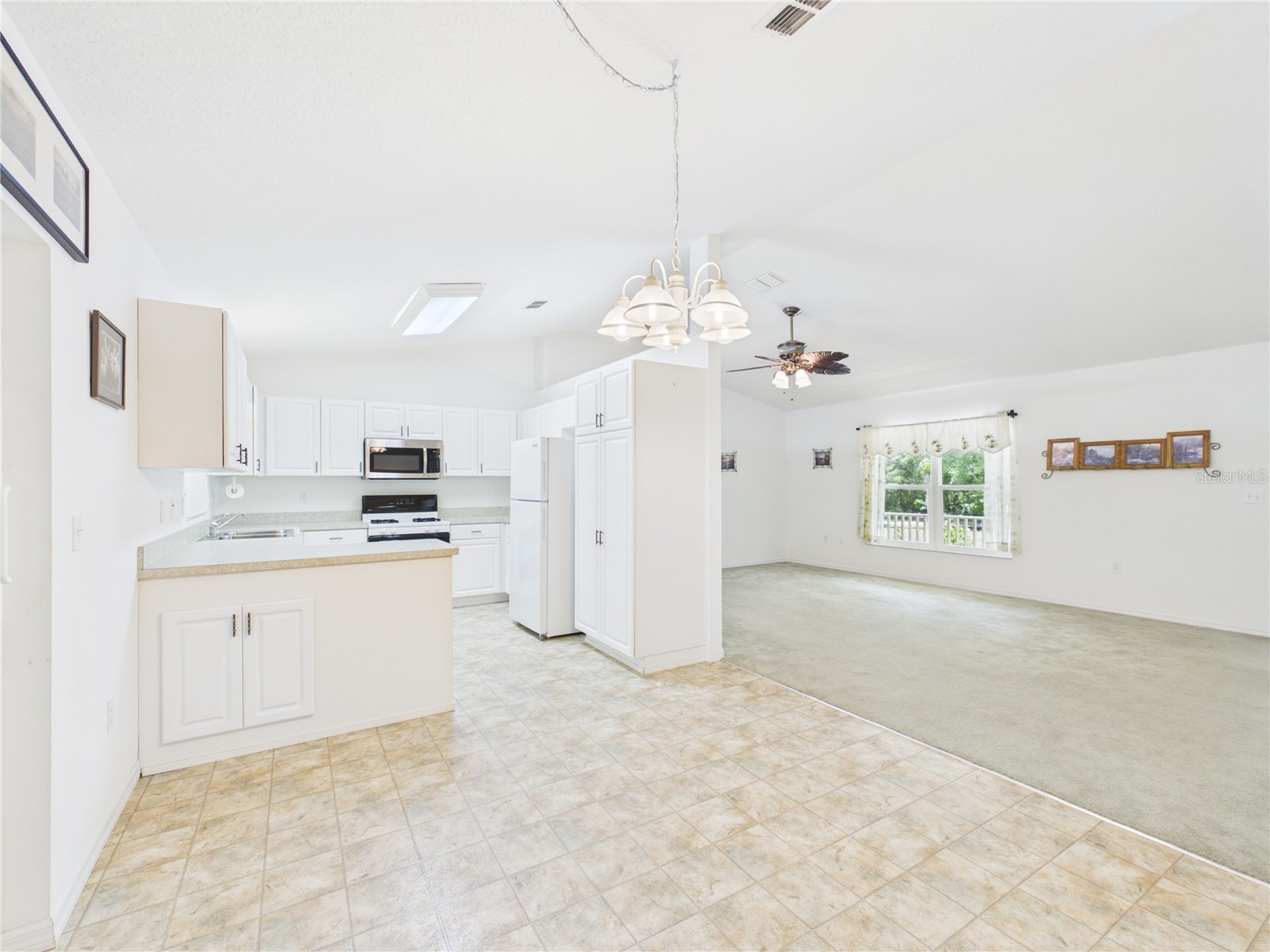 11236 N Rain Point Inglis FL 34449 - WITHLACOOCHEE RIVER OM727379 image7