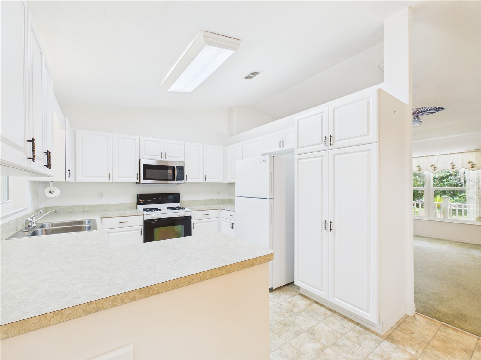 11236 N Rain Point Inglis FL 34449 - WITHLACOOCHEE RIVER OM727379 image8
