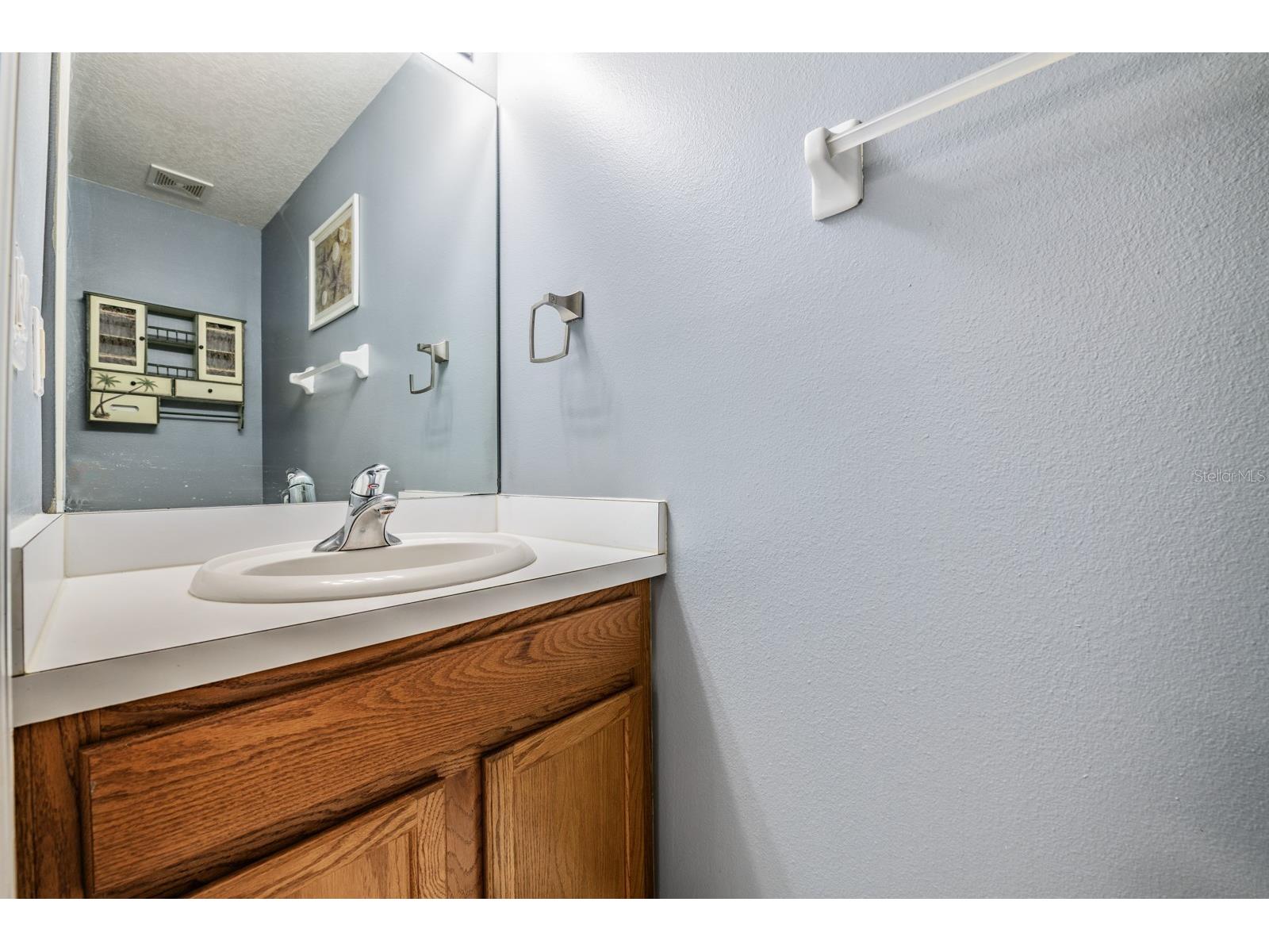 11237 Lake Lanier Dr Riverview FL 33569 TB8475532 image18