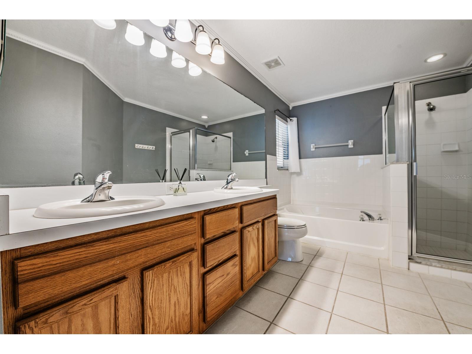 11237 Lake Lanier Dr Riverview FL 33569 TB8475532 image22