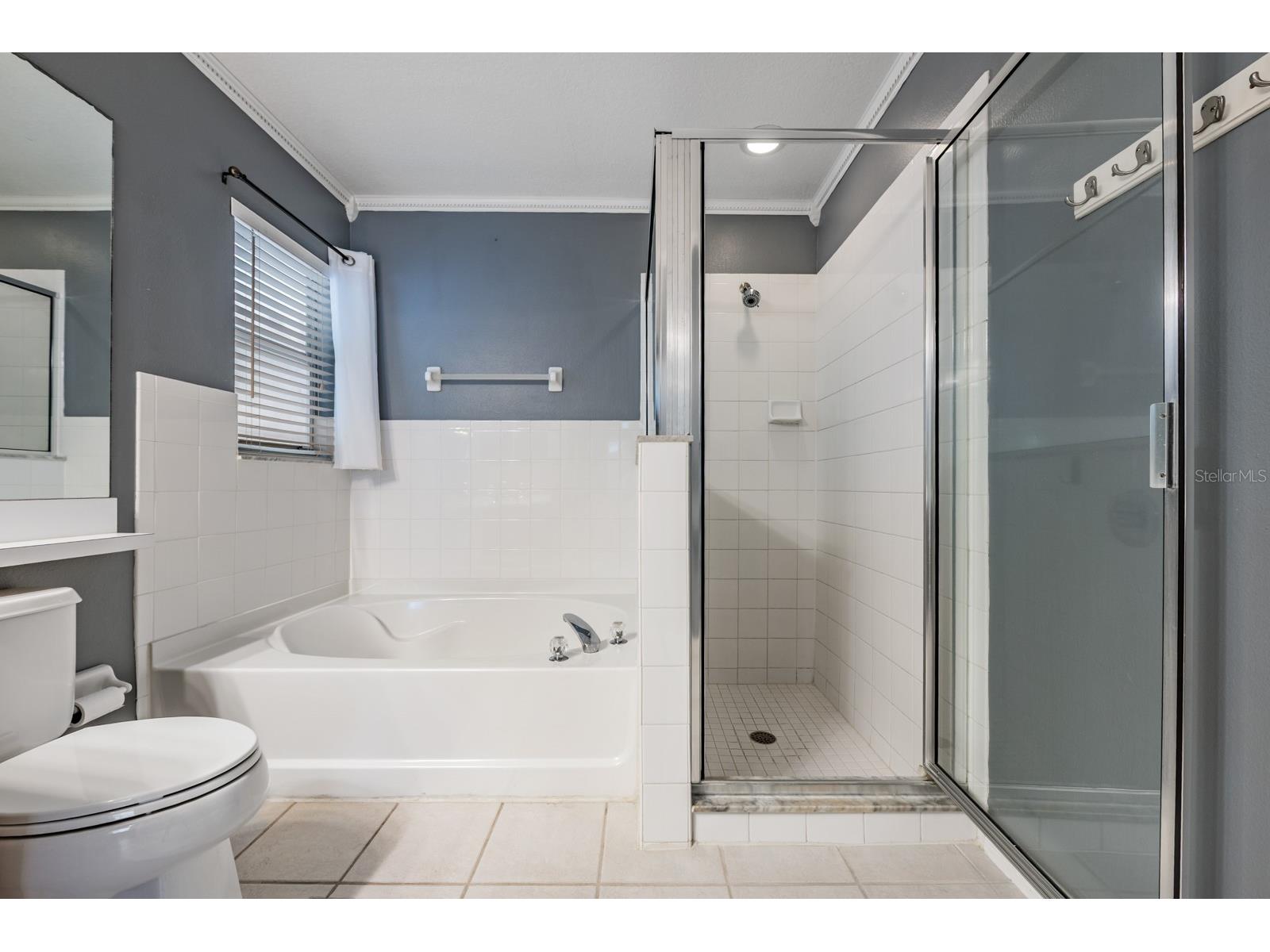 11237 Lake Lanier Dr Riverview FL 33569 TB8475532 image23