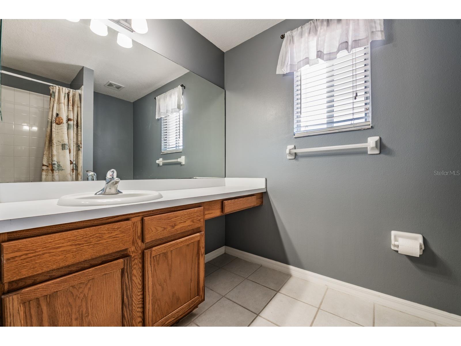 11237 Lake Lanier Dr Riverview FL 33569 TB8475532 image30