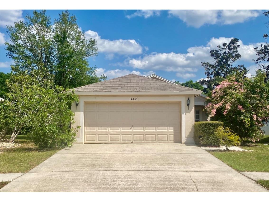 11237 Summer Star Drive Riverview FL 33579 T3513785 image1