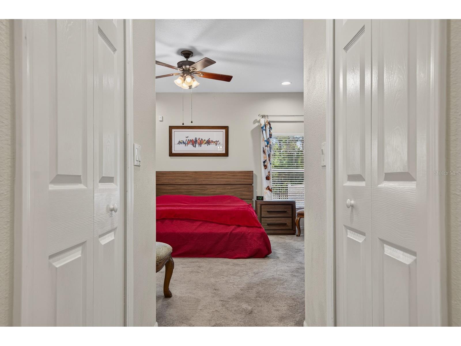 11238 Biddeford Place New Port Richey FL 34654 TB8521329 image23