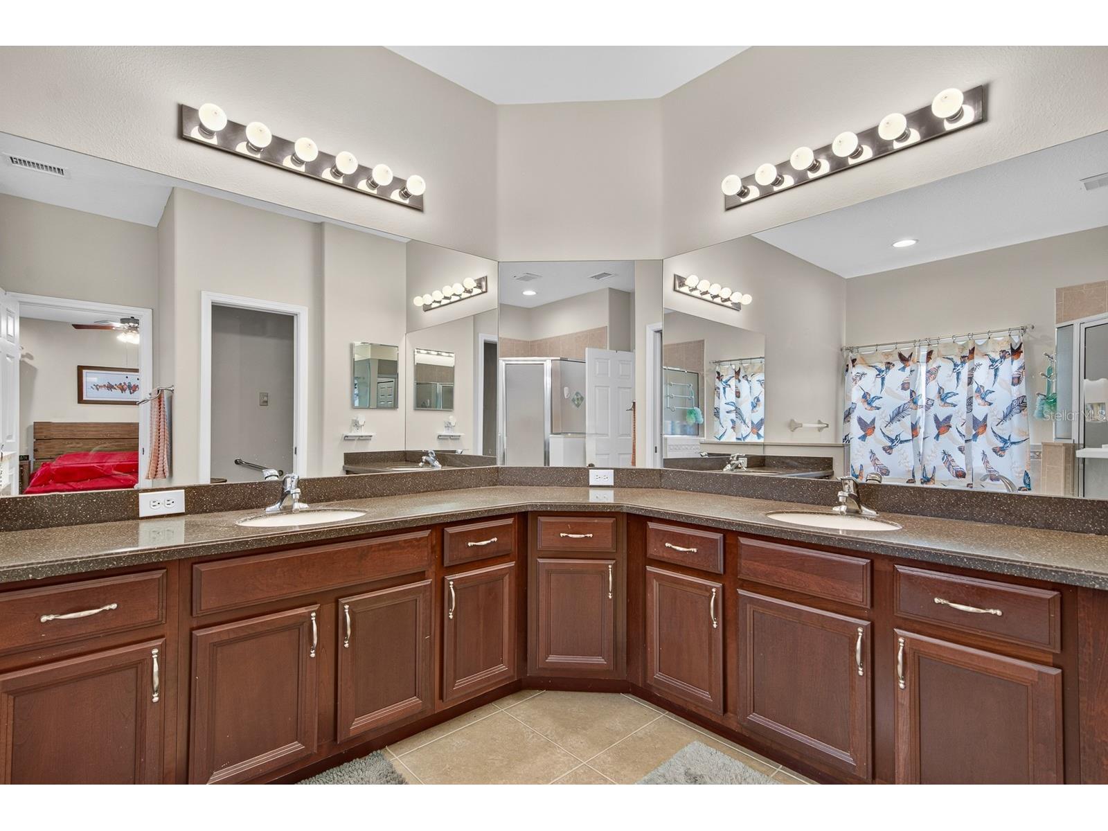 11238 Biddeford Place New Port Richey FL 34654 TB8521329 image25