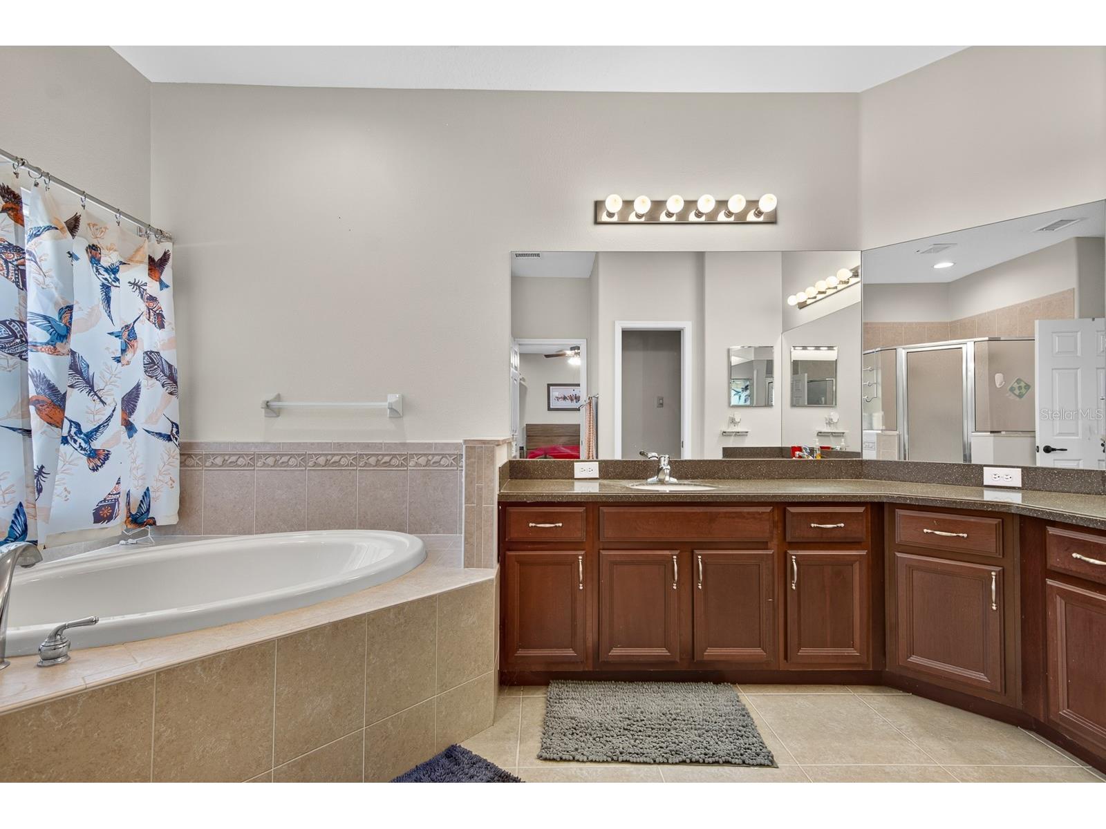11238 Biddeford Place New Port Richey FL 34654 TB8521329 image26