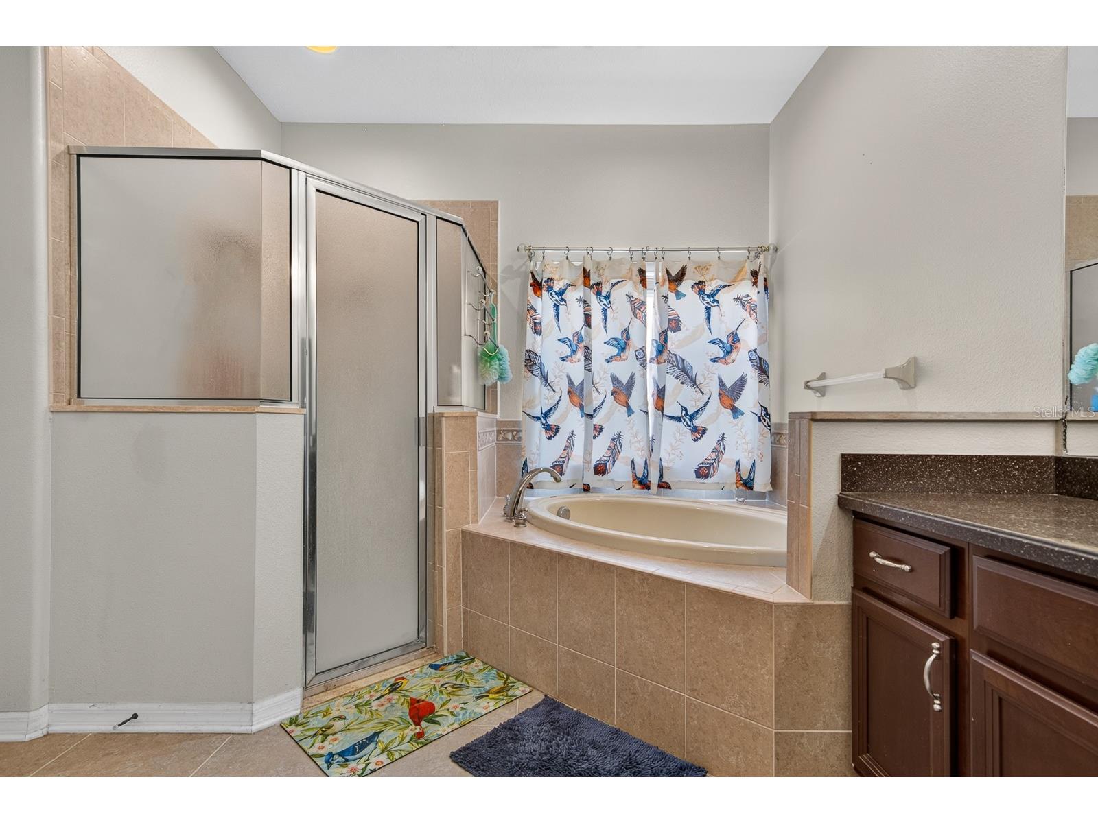 11238 Biddeford Place New Port Richey FL 34654 TB8521329 image27