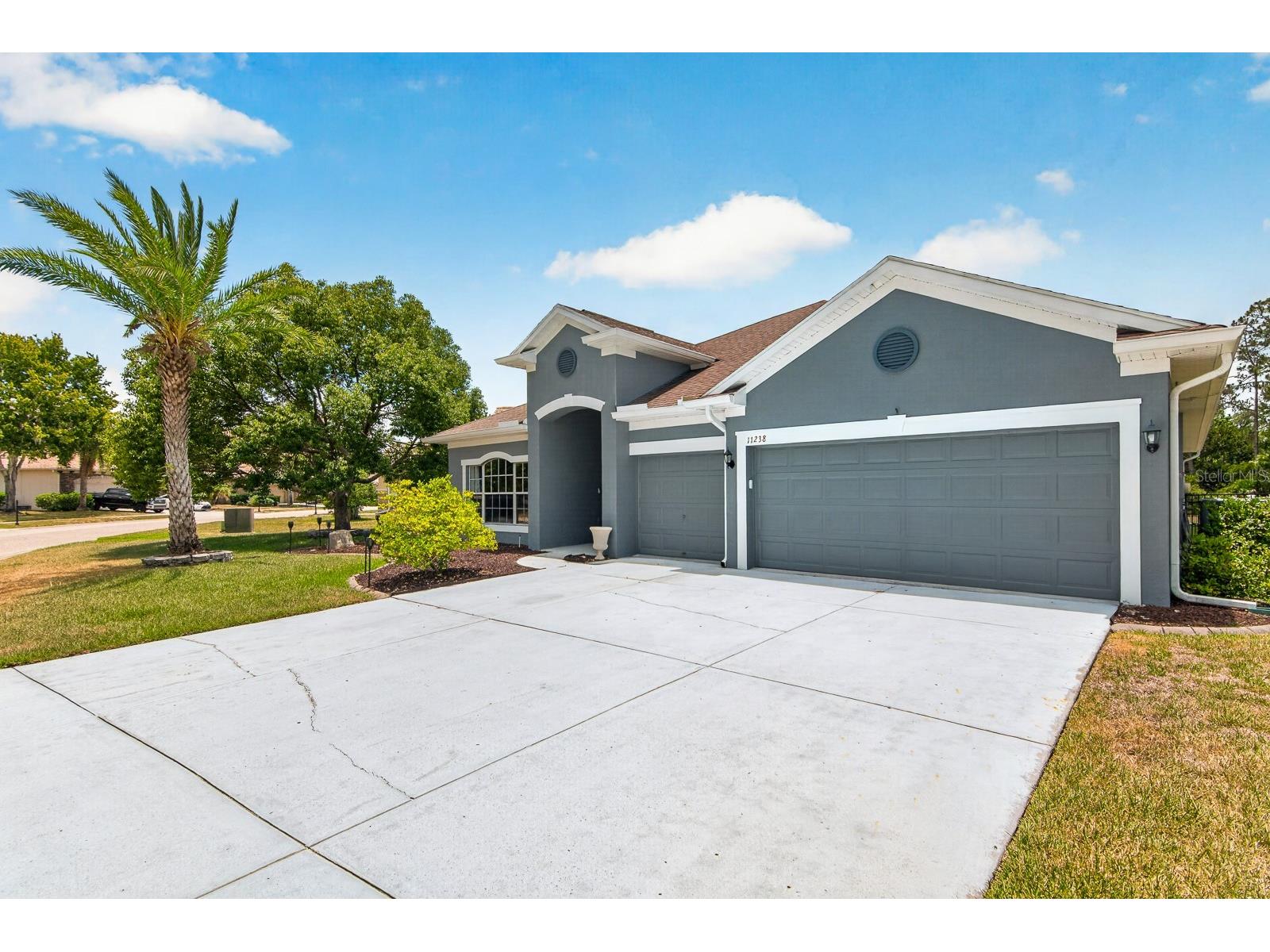 11238 Biddeford Place New Port Richey FL 34654 TB8521329 image47