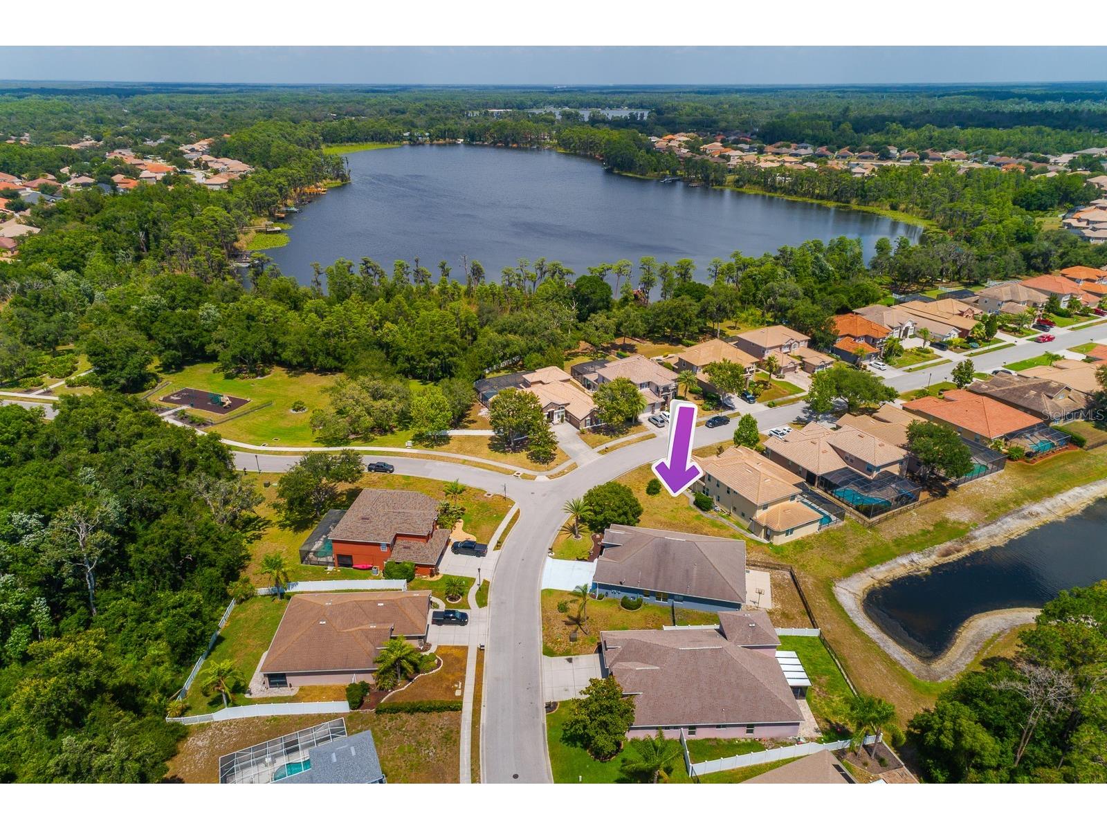 11238 Biddeford Place New Port Richey FL 34654 TB8521329 image51