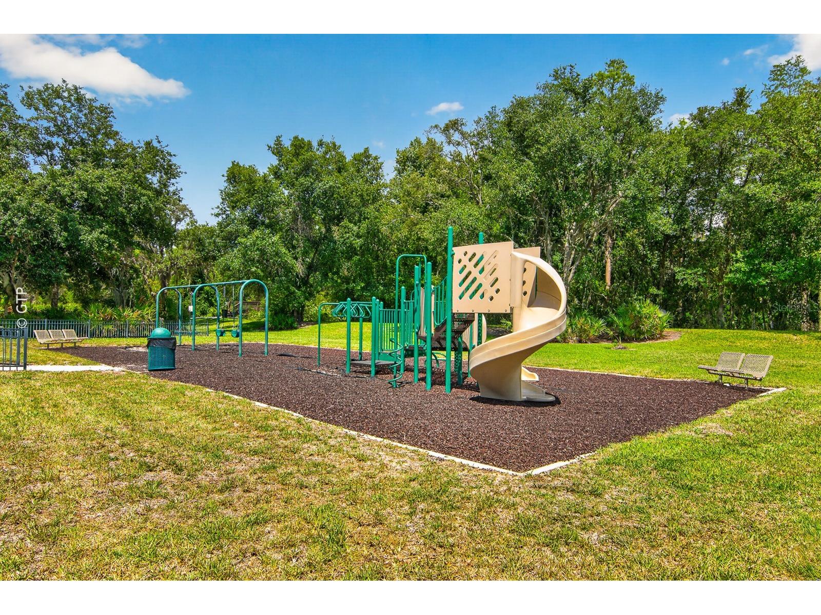 11238 Biddeford Place New Port Richey FL 34654 TB8521329 image52