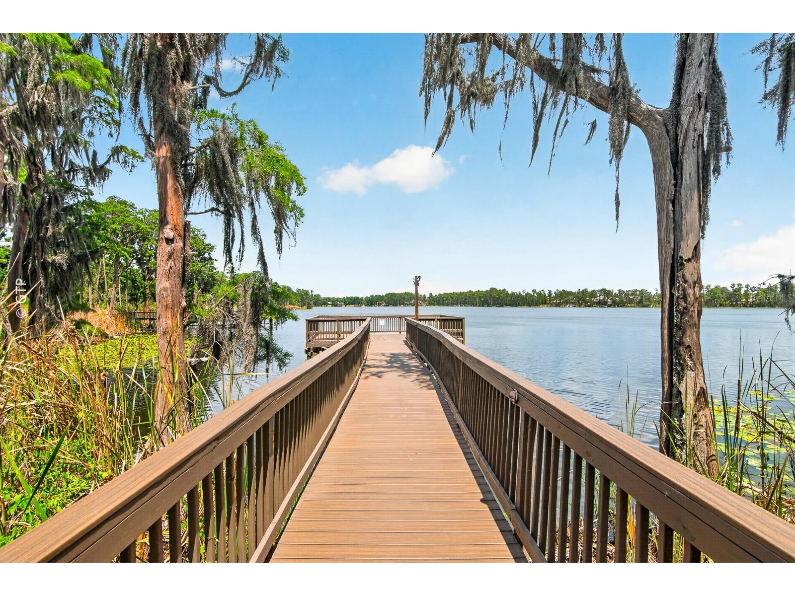 11238 Biddeford Place New Port Richey FL 34654 TB8521329 image53