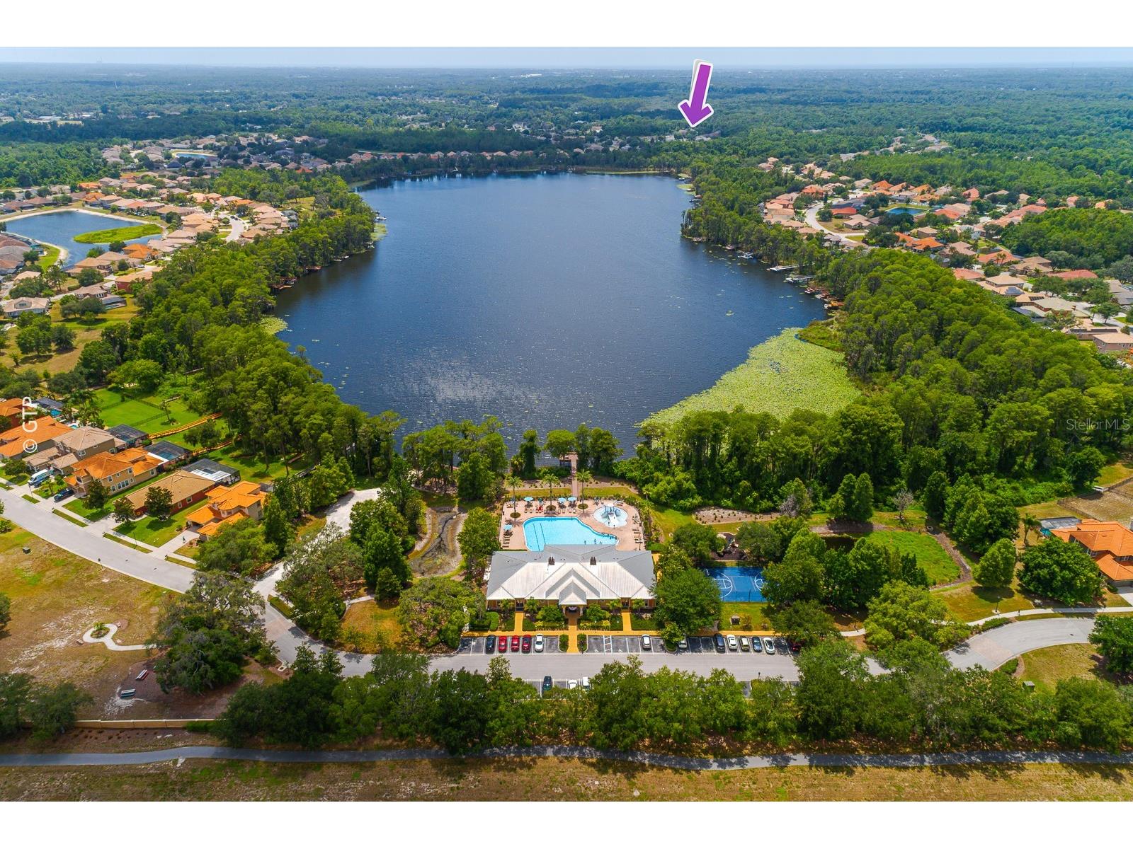 11238 Biddeford Place New Port Richey FL 34654 TB8521329 image55