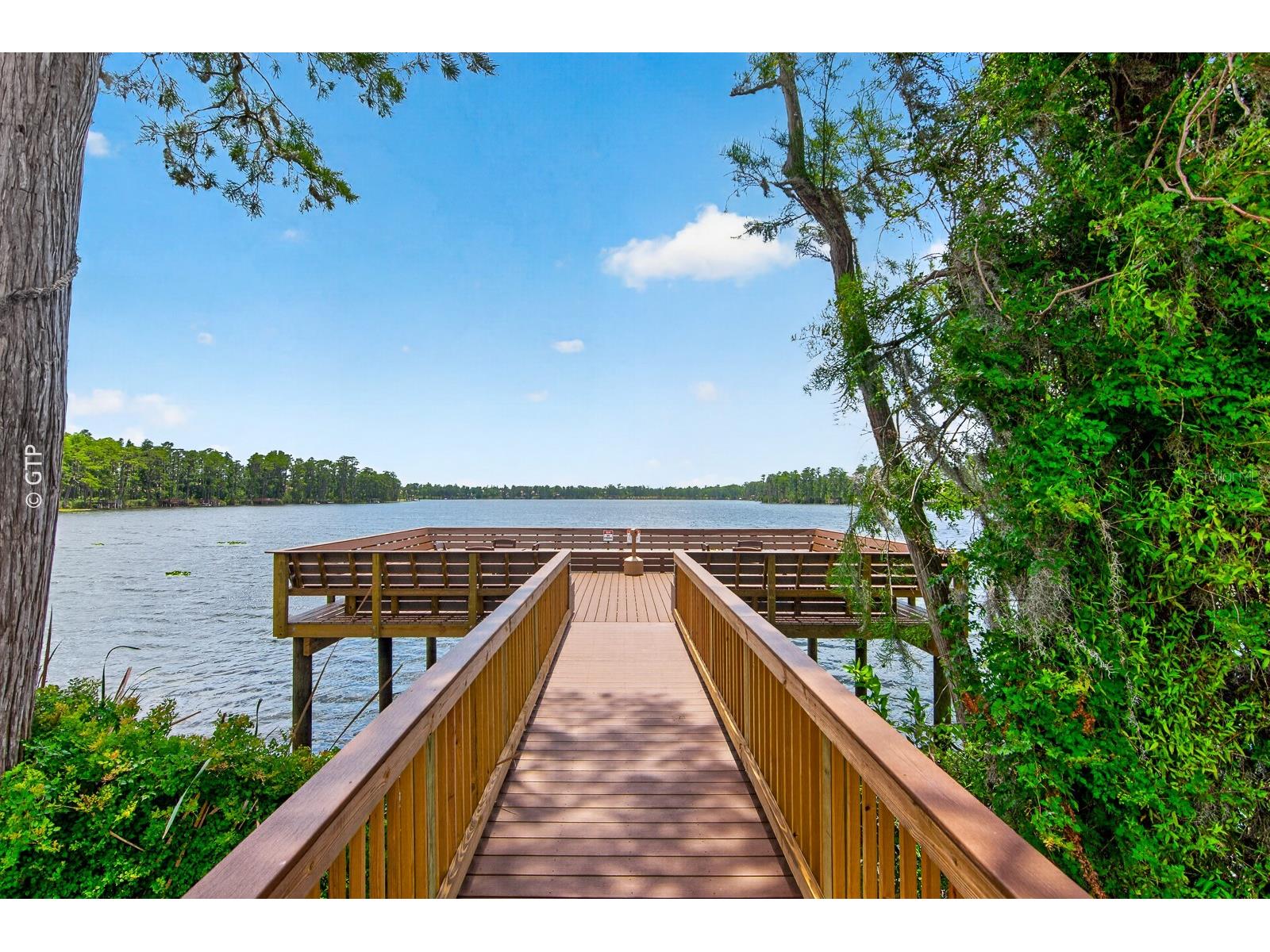 11238 Biddeford Place New Port Richey FL 34654 TB8521329 image59