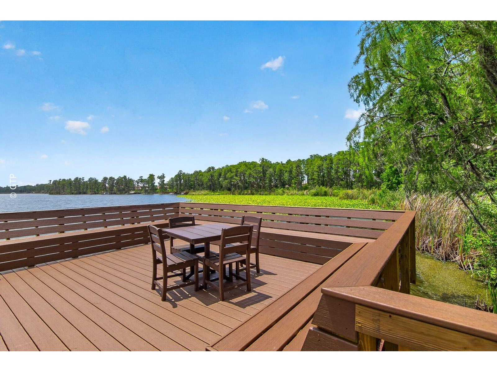 11238 Biddeford Place New Port Richey FL 34654 TB8521329 image60
