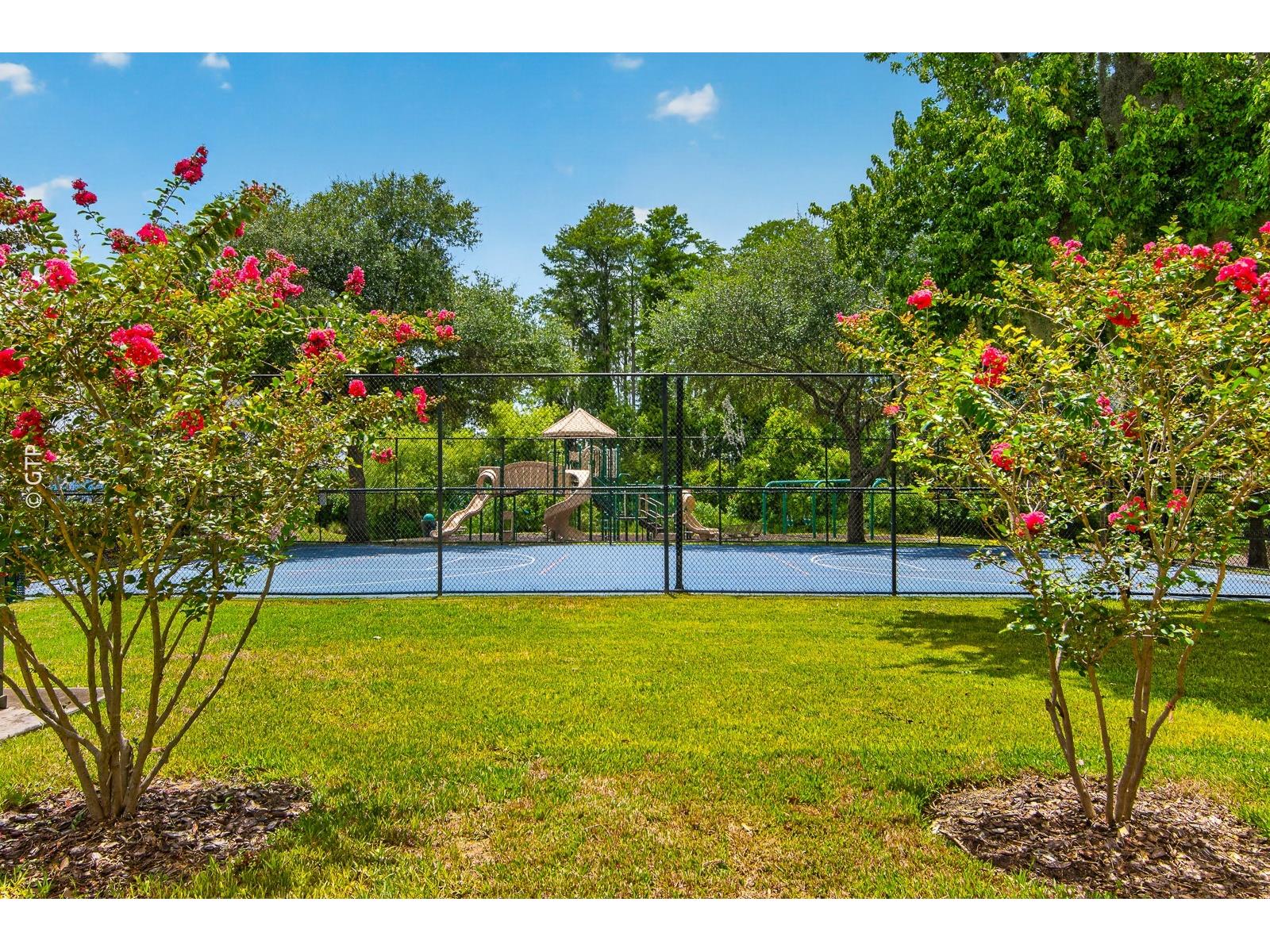 11238 Biddeford Place New Port Richey FL 34654 TB8521329 image61
