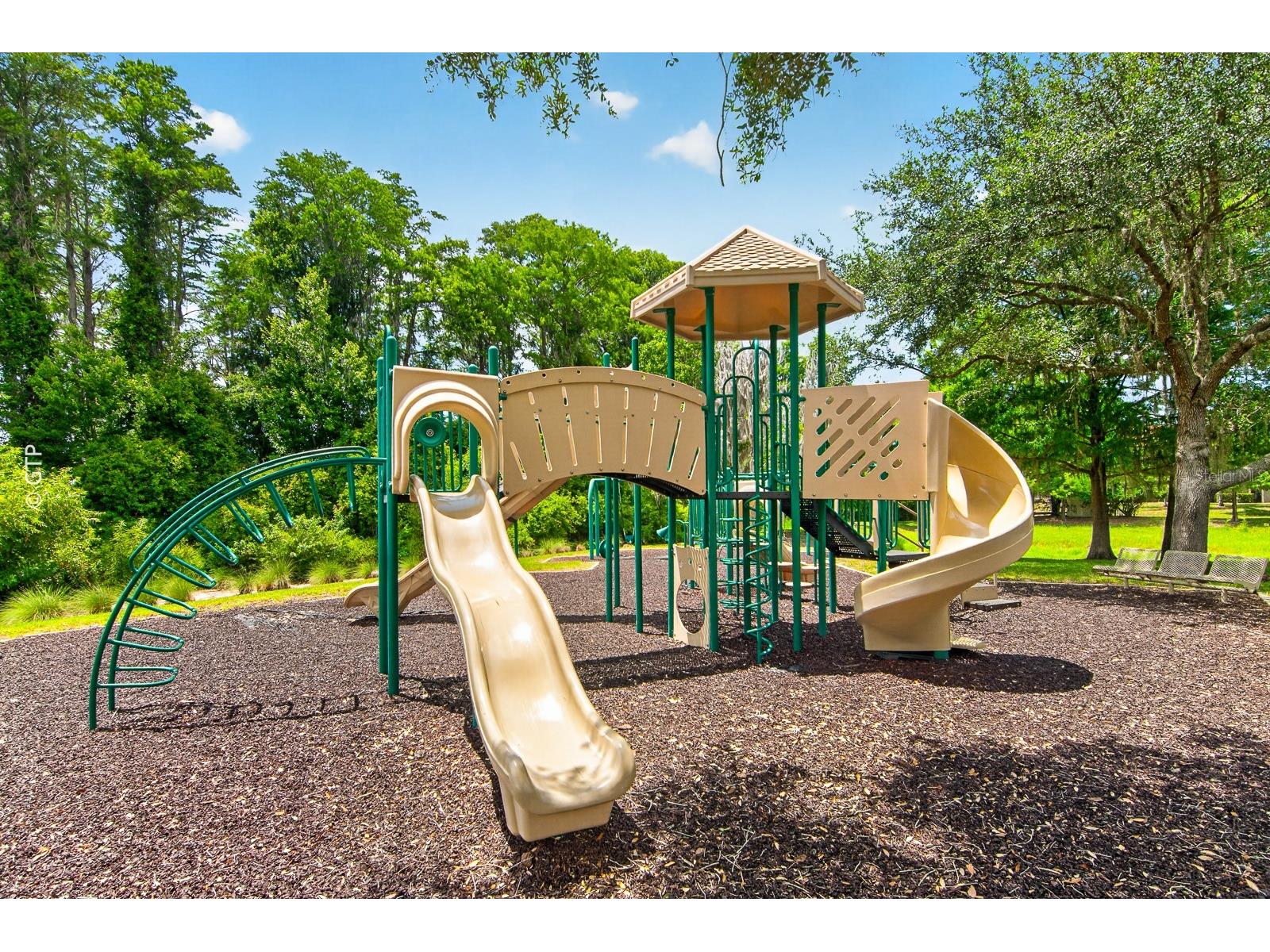 11238 Biddeford Place New Port Richey FL 34654 TB8521329 image64