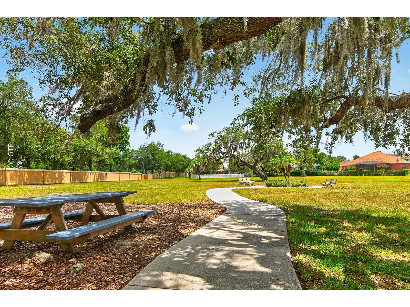 11238 Biddeford Place New Port Richey FL 34654 TB8521329 image65