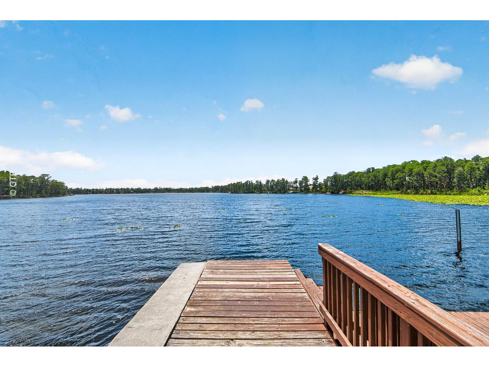11238 Biddeford Place New Port Richey FL 34654 TB8521329 image67