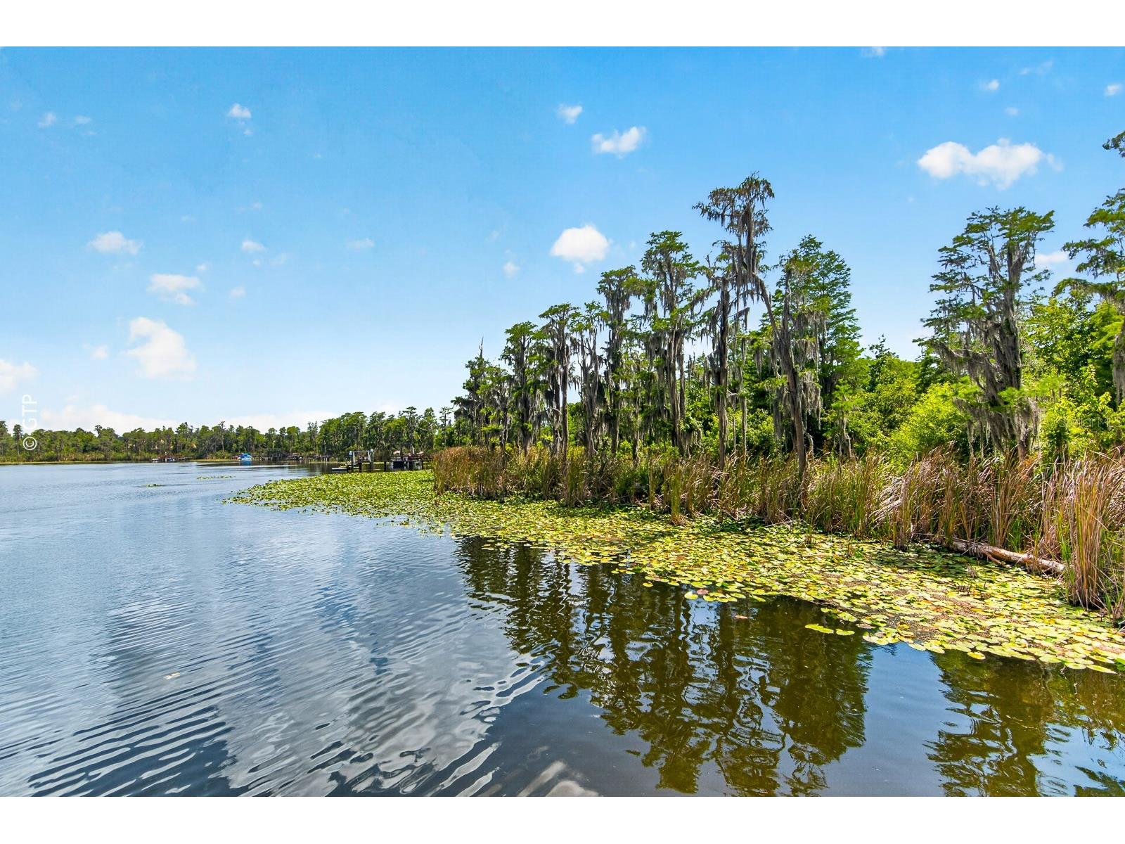 11238 Biddeford Place New Port Richey FL 34654 TB8521329 image68