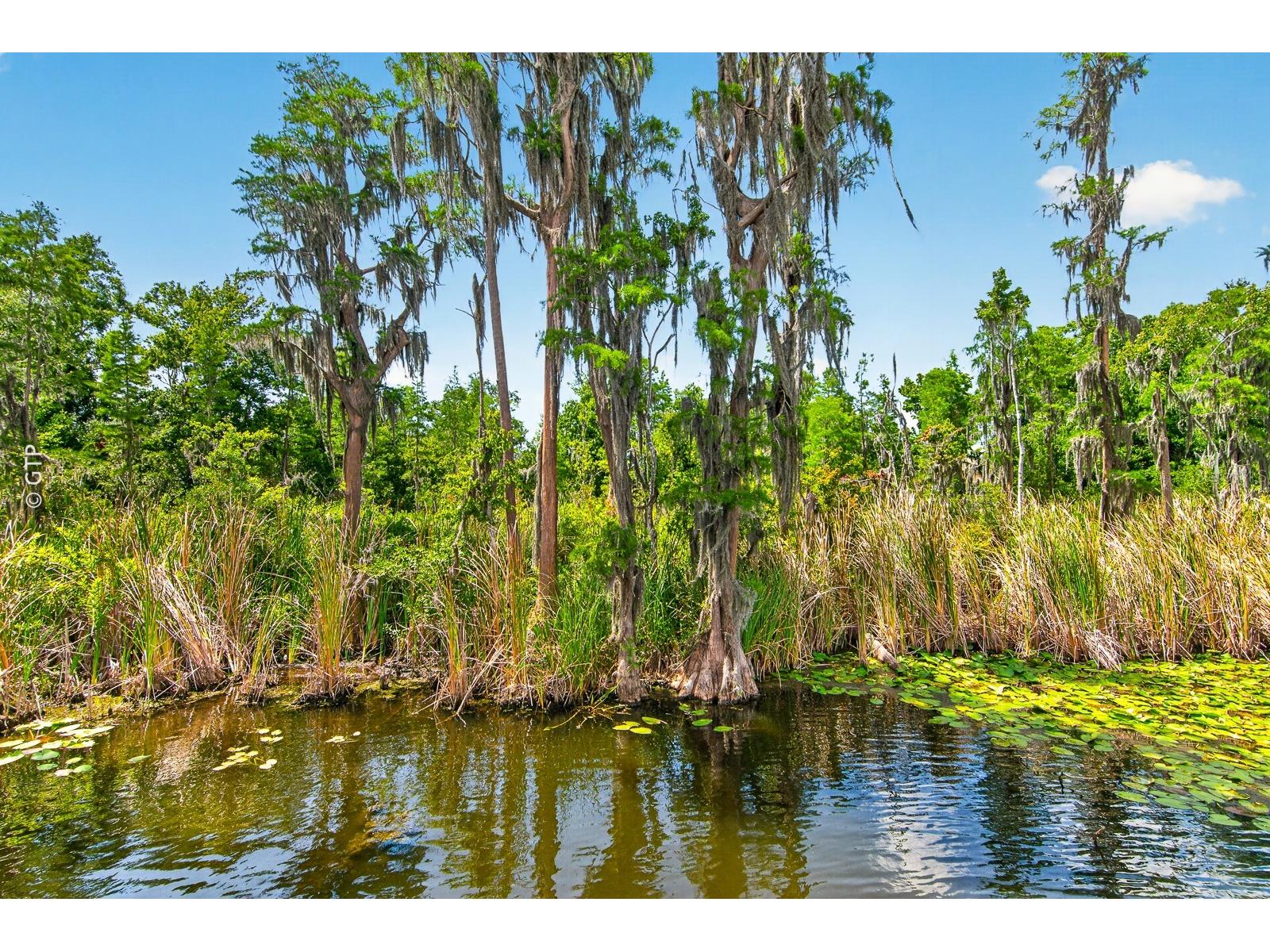 11238 Biddeford Place New Port Richey FL 34654 TB8521329 image69