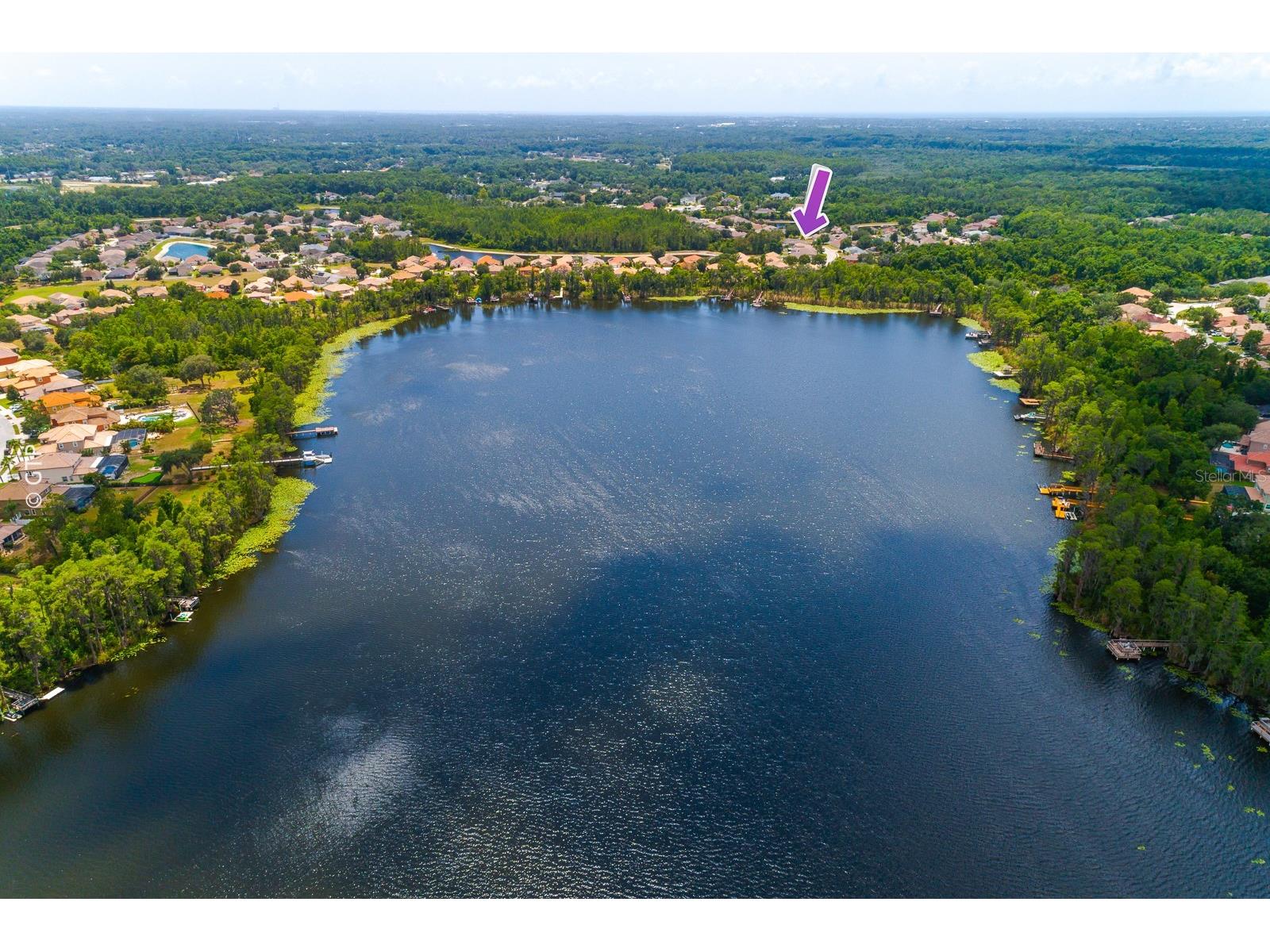 11238 Biddeford Place New Port Richey FL 34654 TB8521329 image70