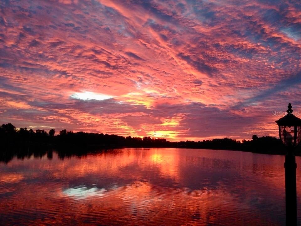 11238 Biddeford Place New Port Richey FL 34654 - WEST MOON LAKE W7881588 image100