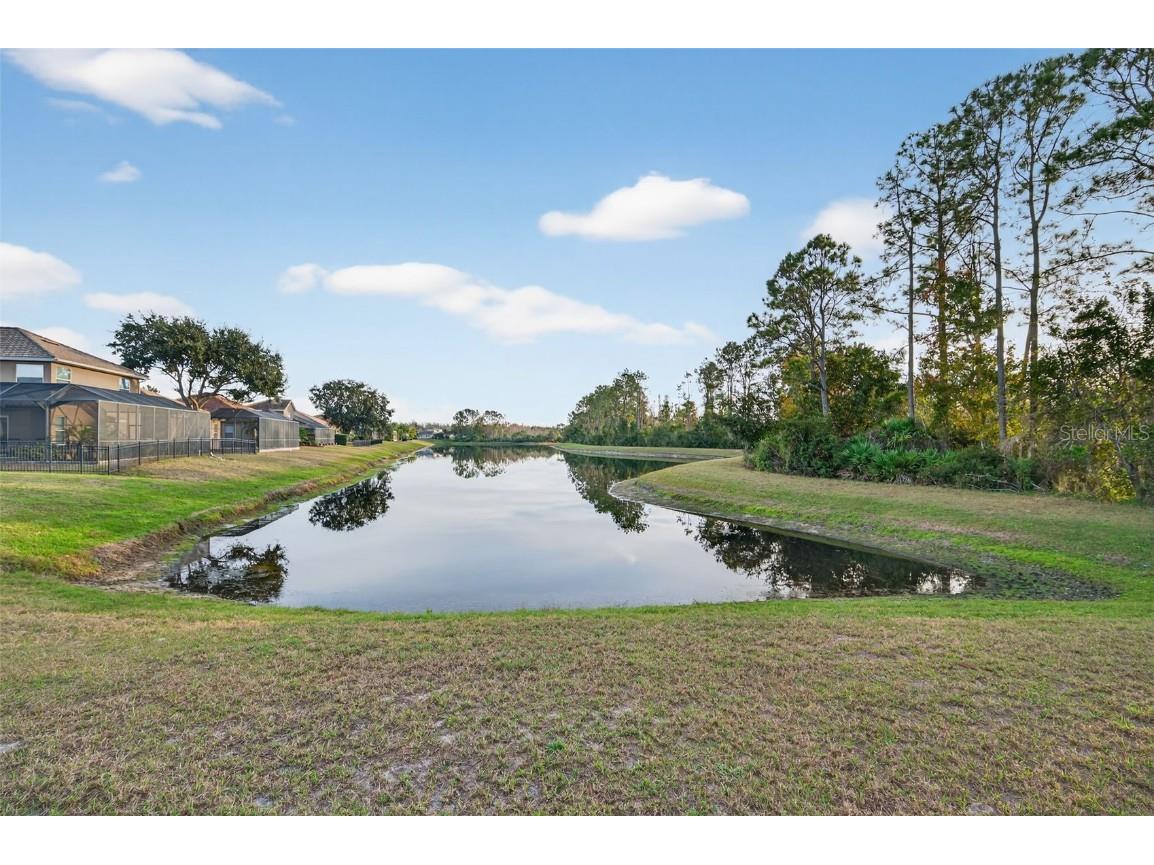 11238 Biddeford Place New Port Richey FL 34654 - WEST MOON LAKE W7881588 image61